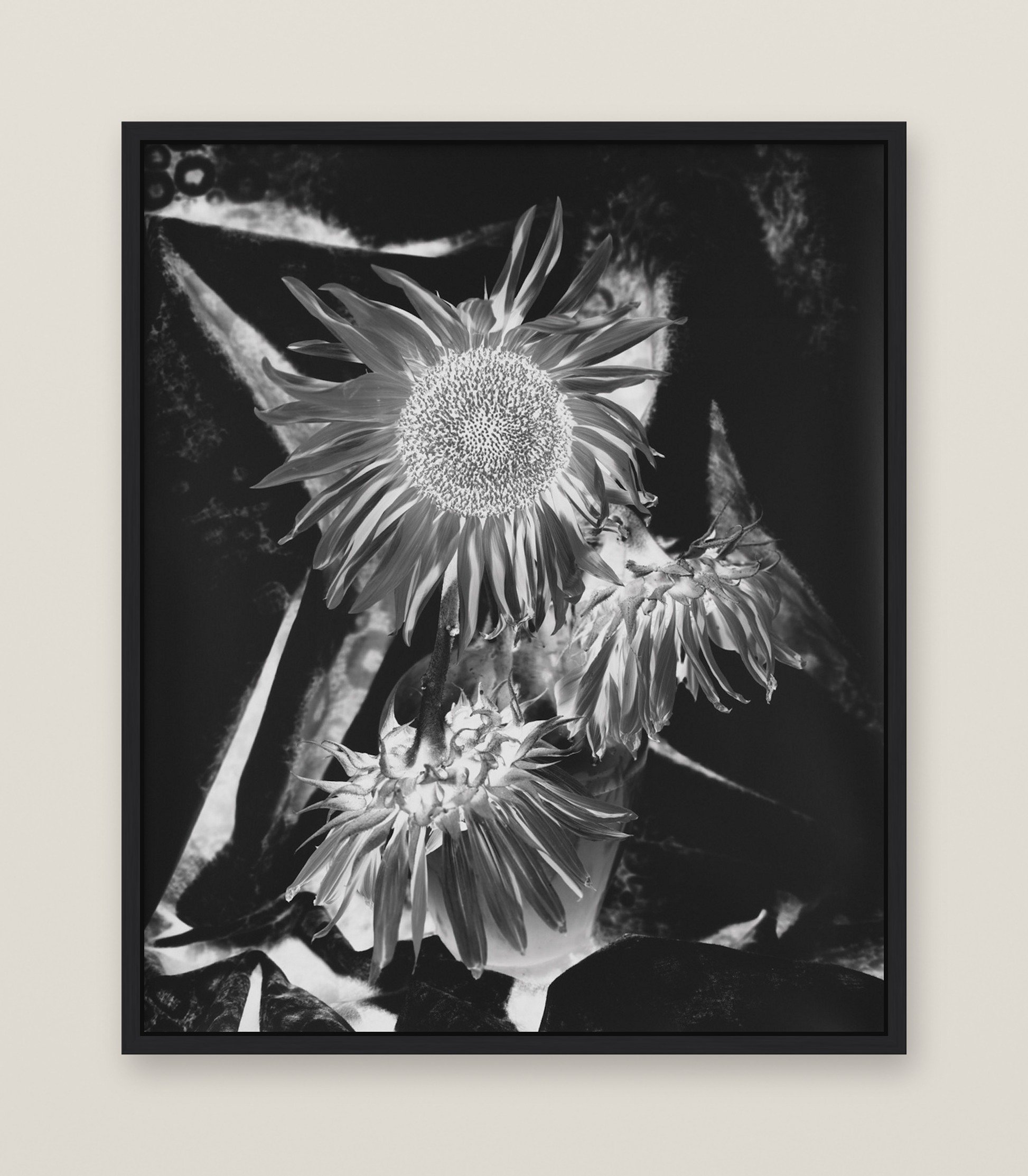 IMG_6478.jpeg
