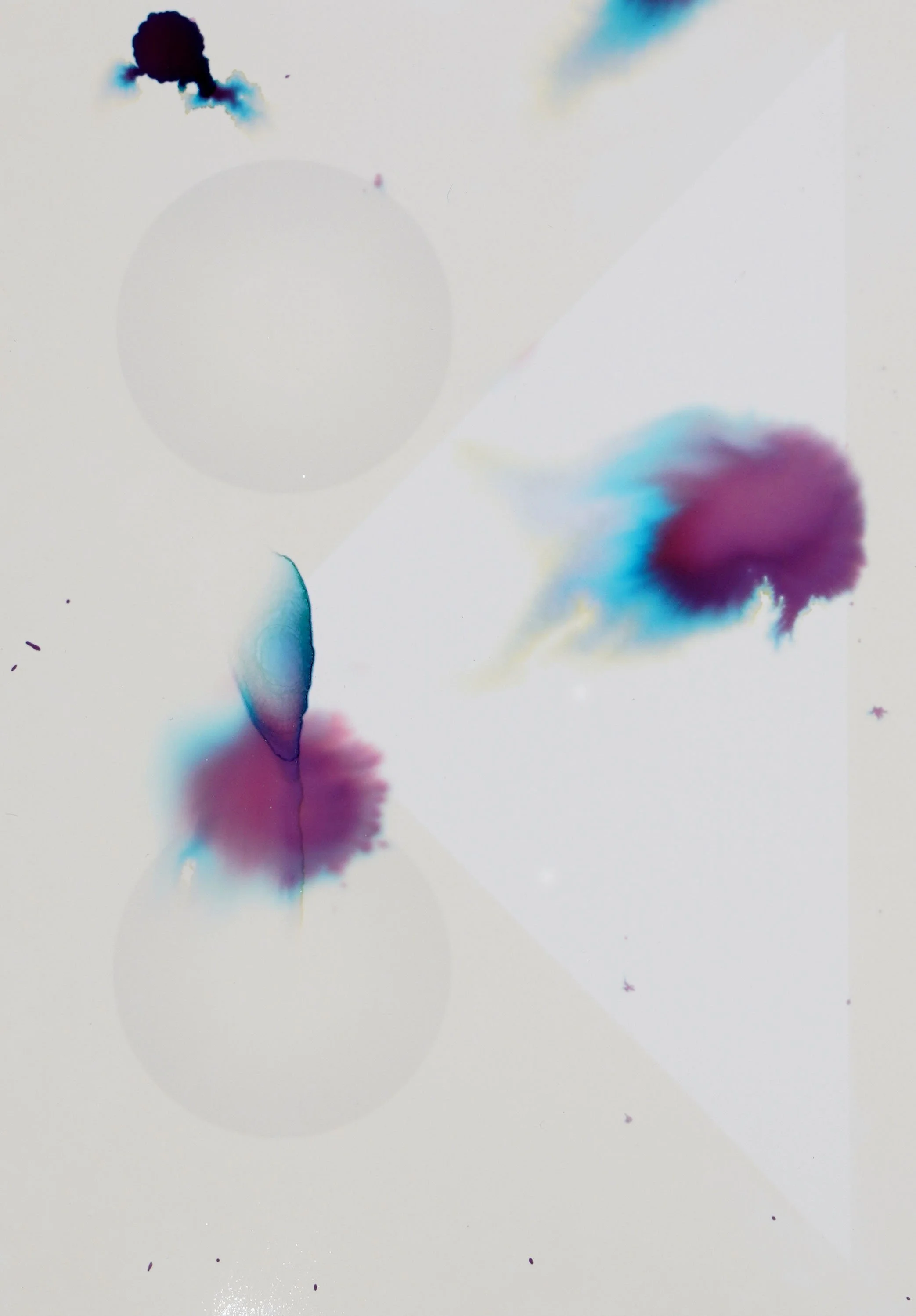 detail.detail1.jpg