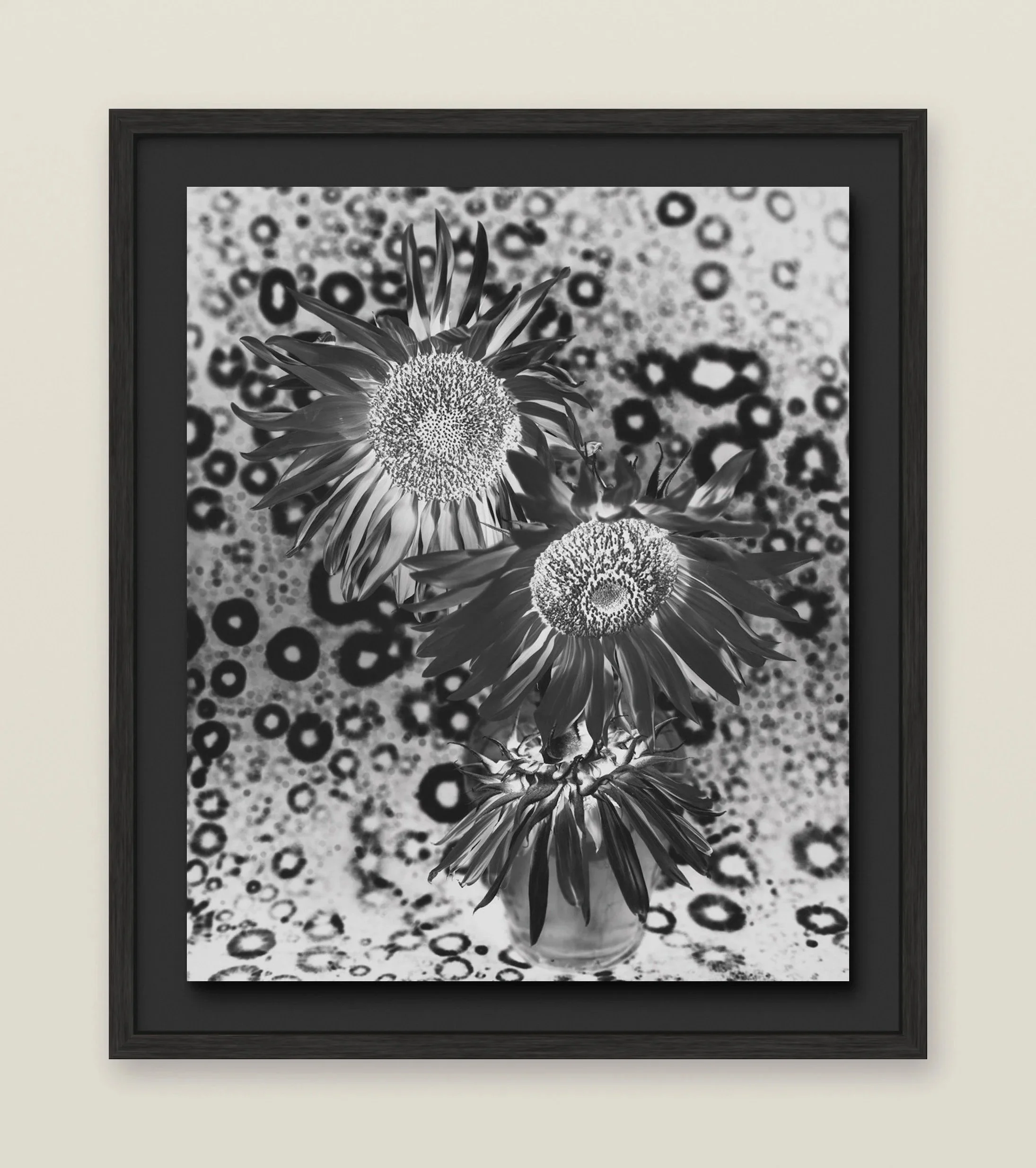 framed_sunflower2_oak_float15_lift_noreflection.jpg