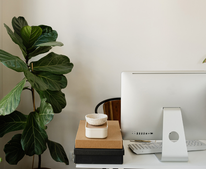 A minimalist workspace with a large green fiddle leaf fig plant on the left, a white computer monitor, white keyboard, mouse, and a stack of books with a decorative bowl on top on the right.