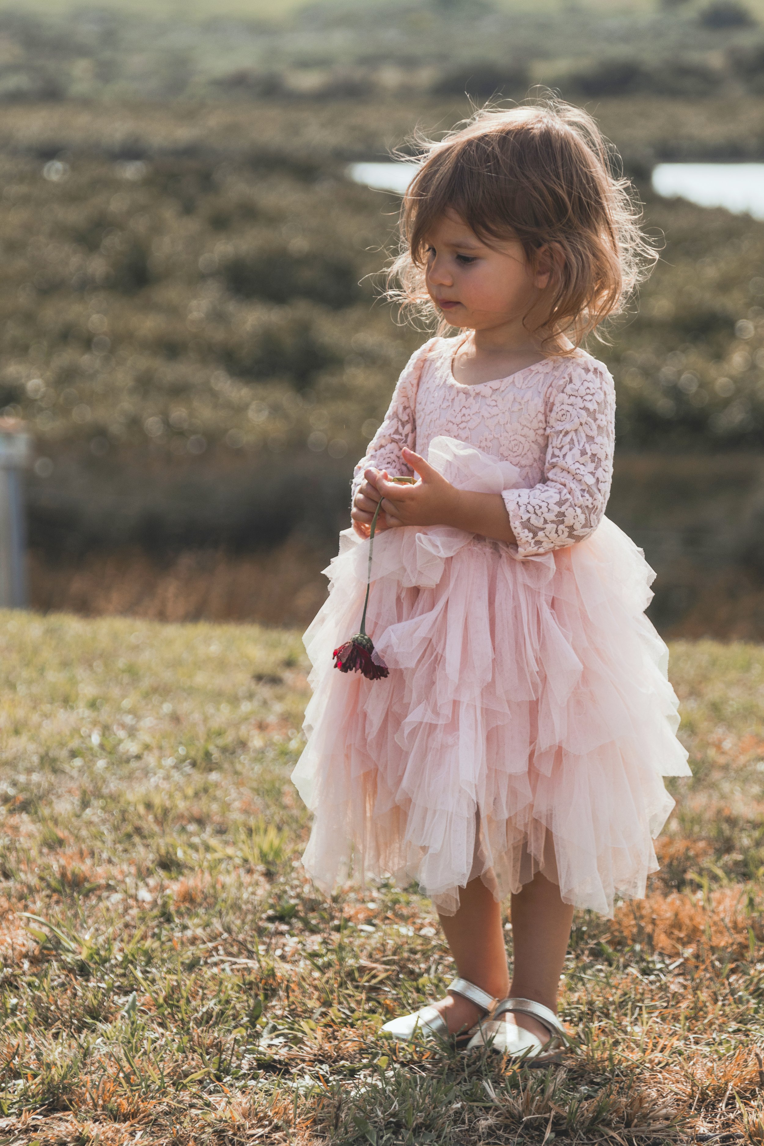 A young girl standing outdoors on grass in a pink lace dress with ruffled tulle skirt, holding a small flower, and wearing metallic sandals. She is in profile, looking down, with a blurred natural background.