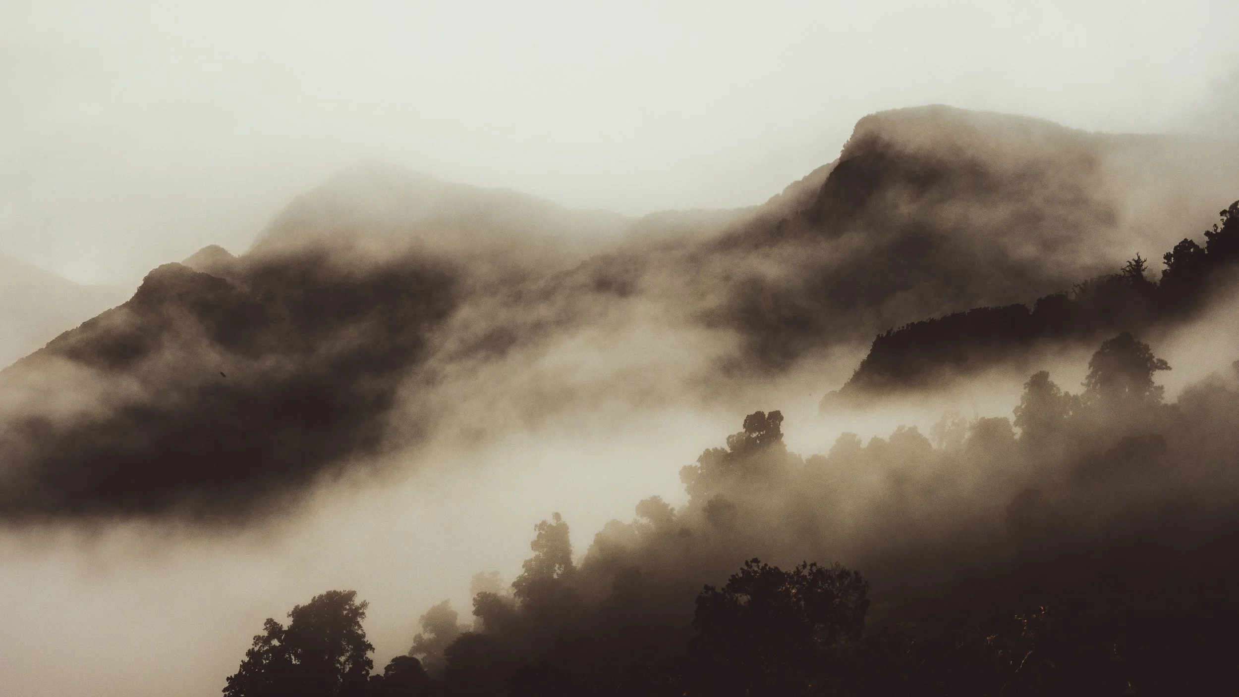 Mountains shrouded in dense fog with trees in the foreground.