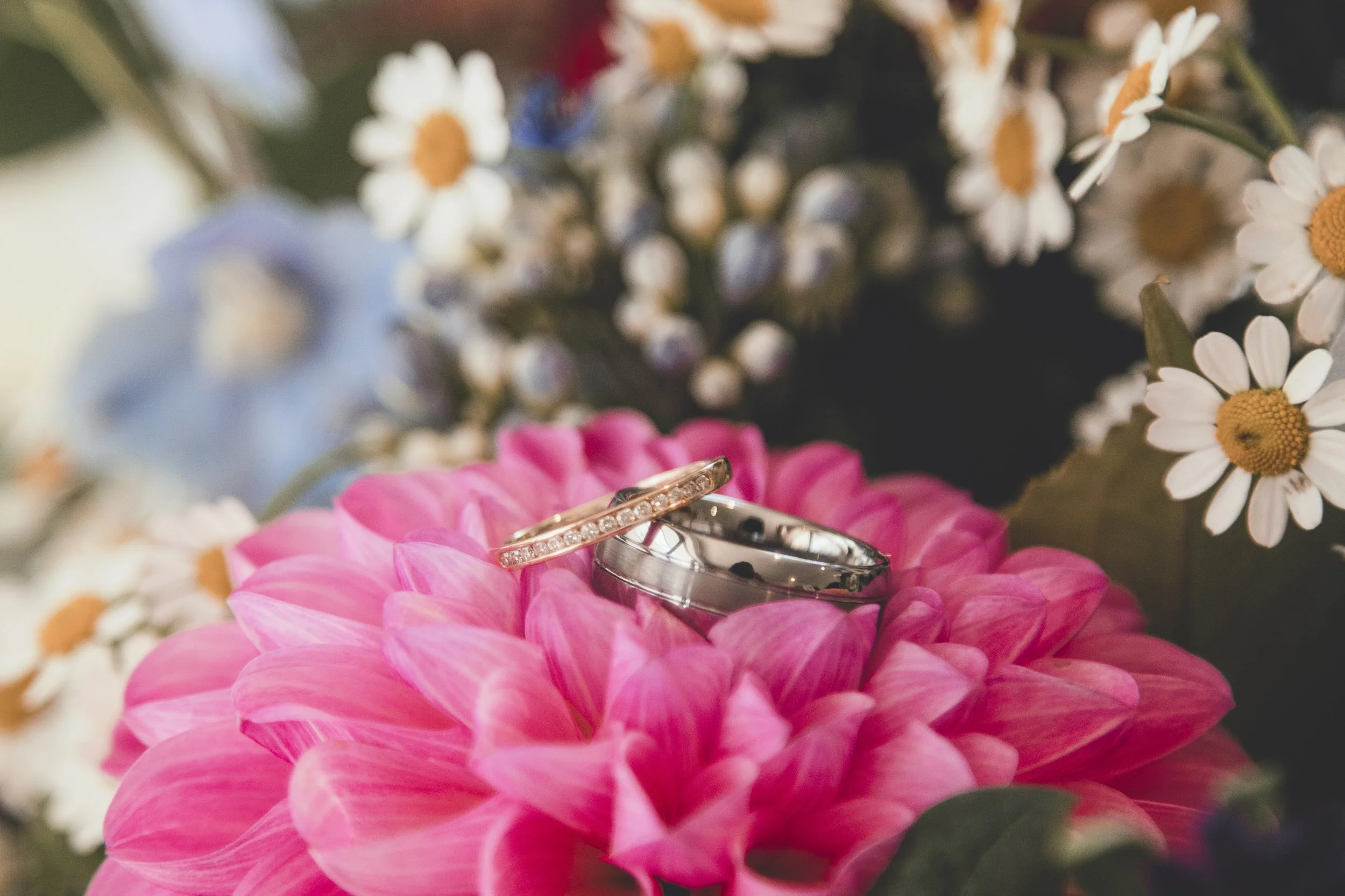 Two wedding rings resting on a pink flower surrounded by white daisies and colorful flowers.