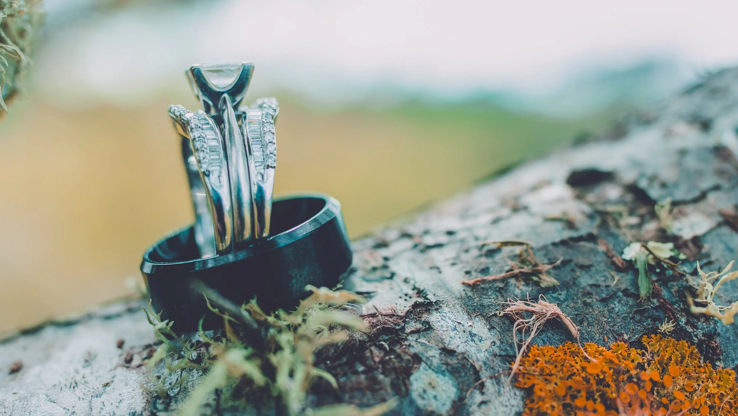 Close-up of a black ring and silver jewelry with gemstones resting on a tree branch.