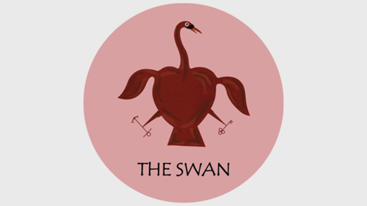 The Swan