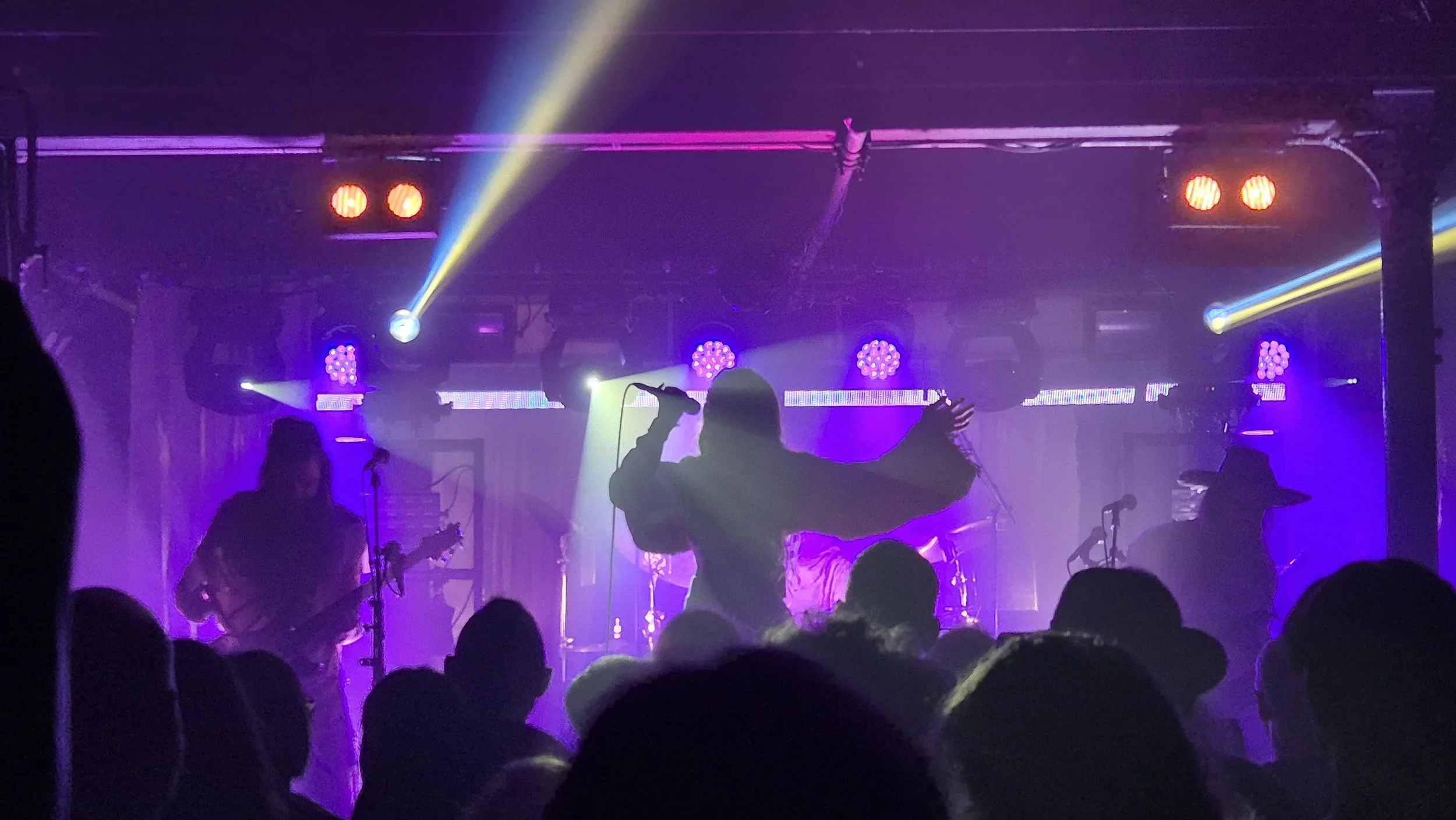 Silhouette of a singer holding a microphone on stage with purple and yellow stage lights, with a band and audience visible in the background.