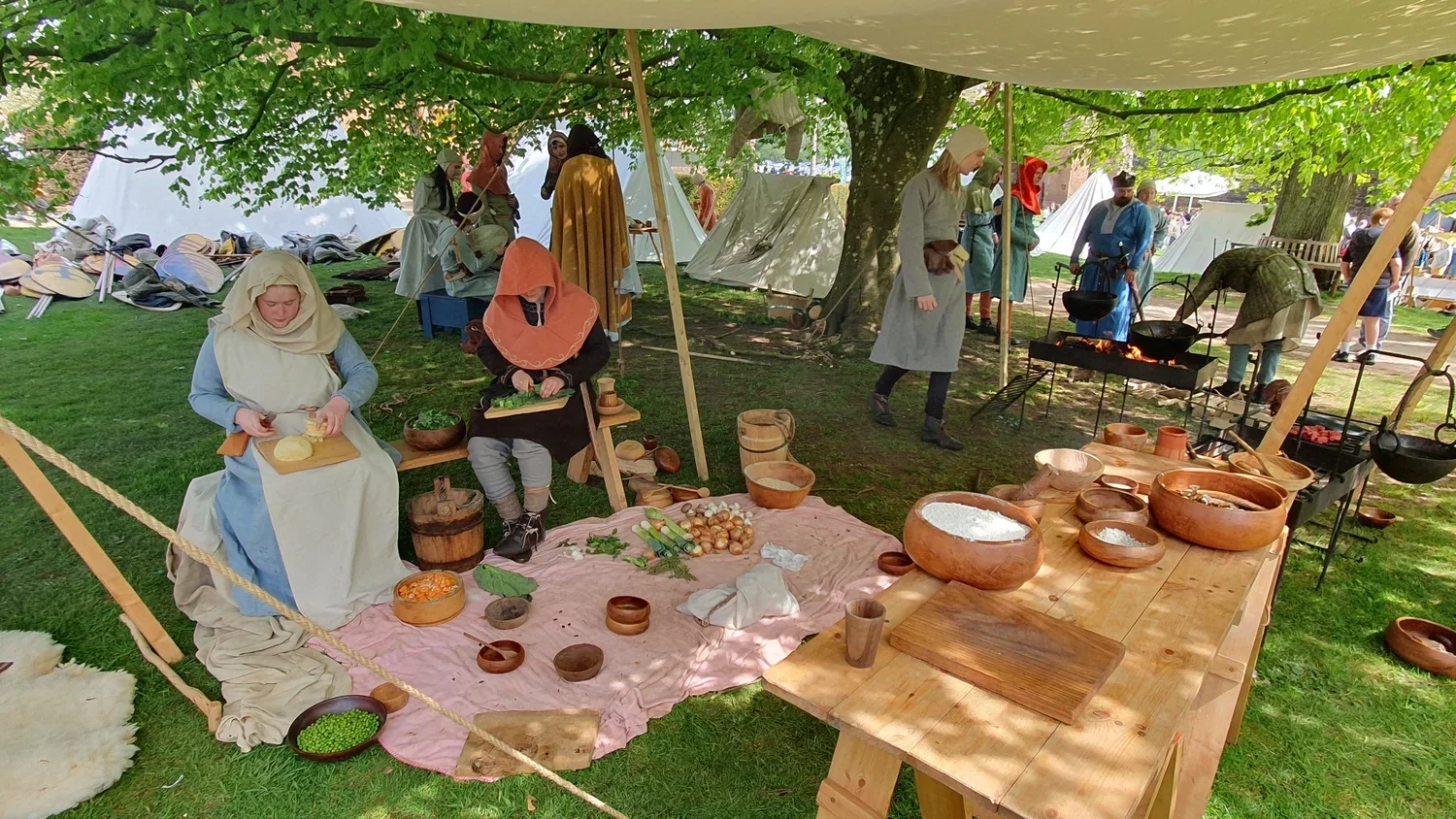 Reenactment of a medieval village scene with people dressed in period costumes, cooking over open fires and preparing food, under a large tree with tents and historical props surrounding them.