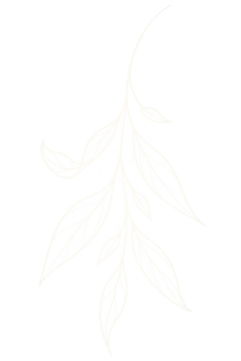 Schwarzer Hintergrund mit einer weißen, minimalistischen Baum- oder Zweigzeichnung, die mehrere Blätter zeigt.