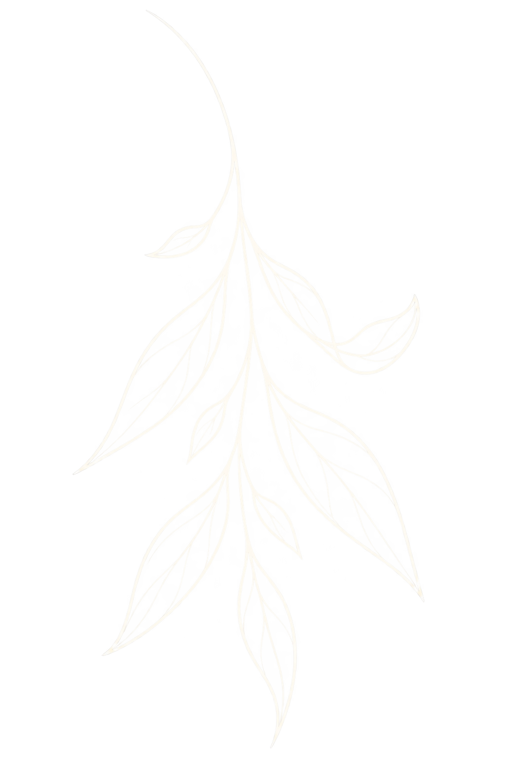 Eine stilisierte weiße Linienzeichnung eines langen Zweigs mit mehreren Blättern auf schwarzem Hintergrund.