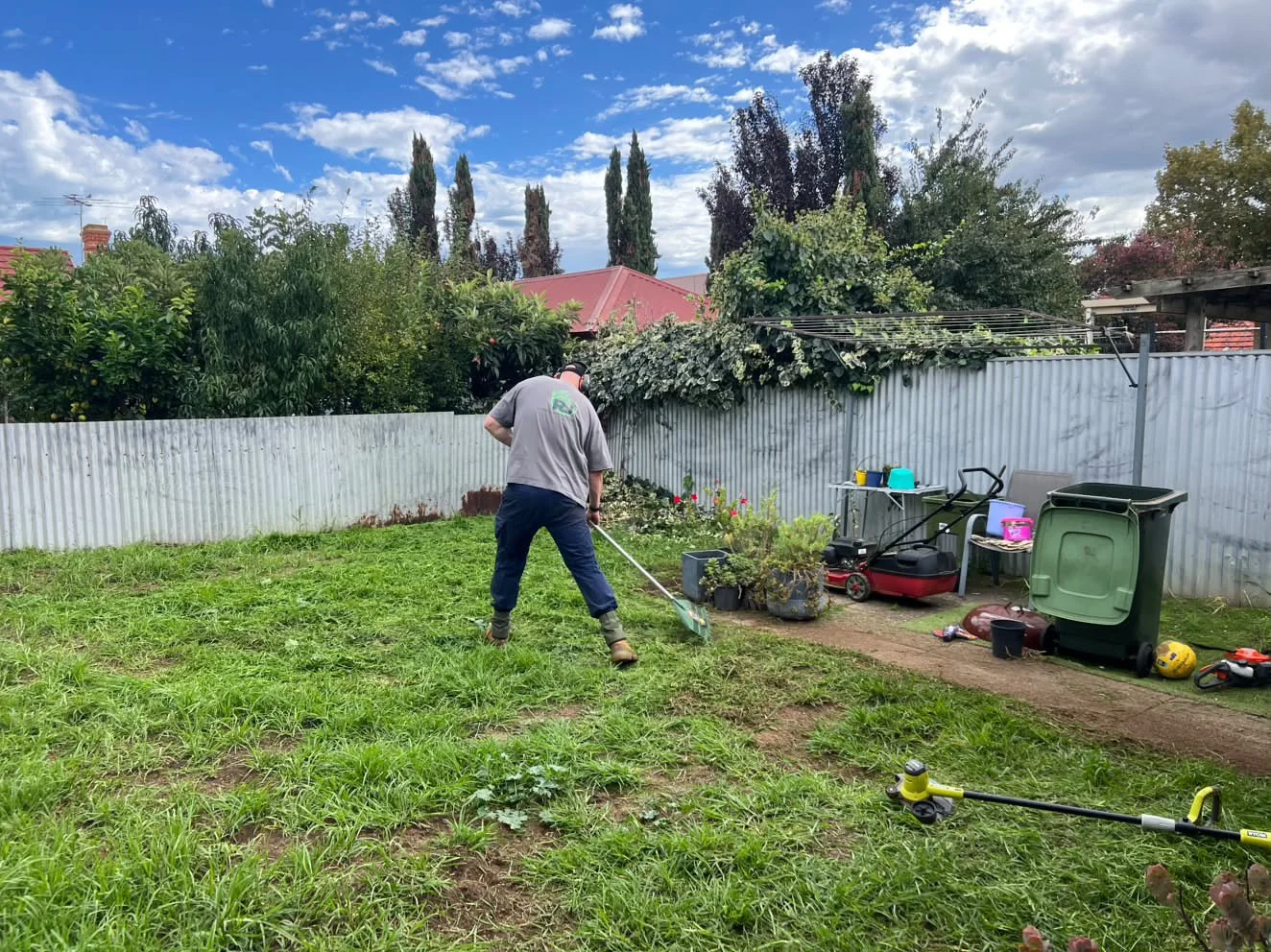 A person is gardening in their backyard, using a rake on the grass, surrounded by trees, plants, and gardening tools.
