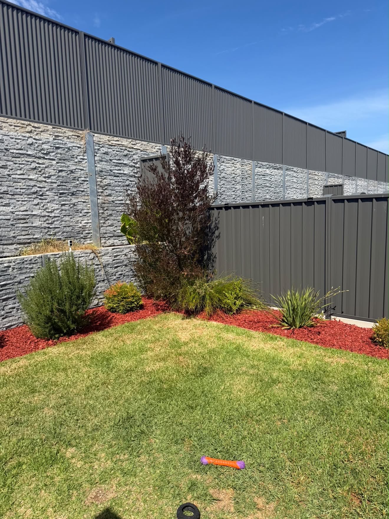 A backyard with a manicured grass lawn, various bushes and plants with red mulch, a tall gray stone wall, a corrugated metal fence, and a blue sky with a few clouds.