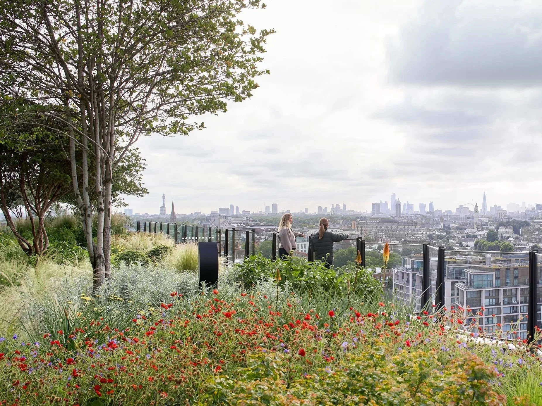 4,000 sq ft Terrace