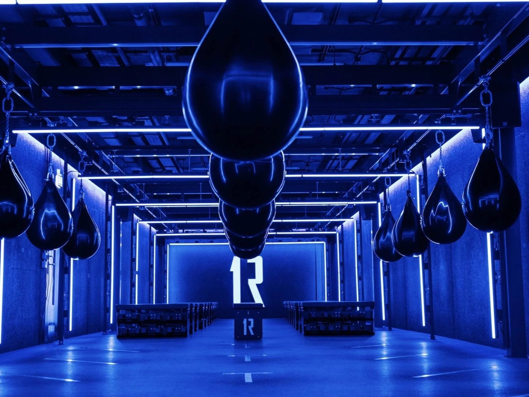 Wellness and gym