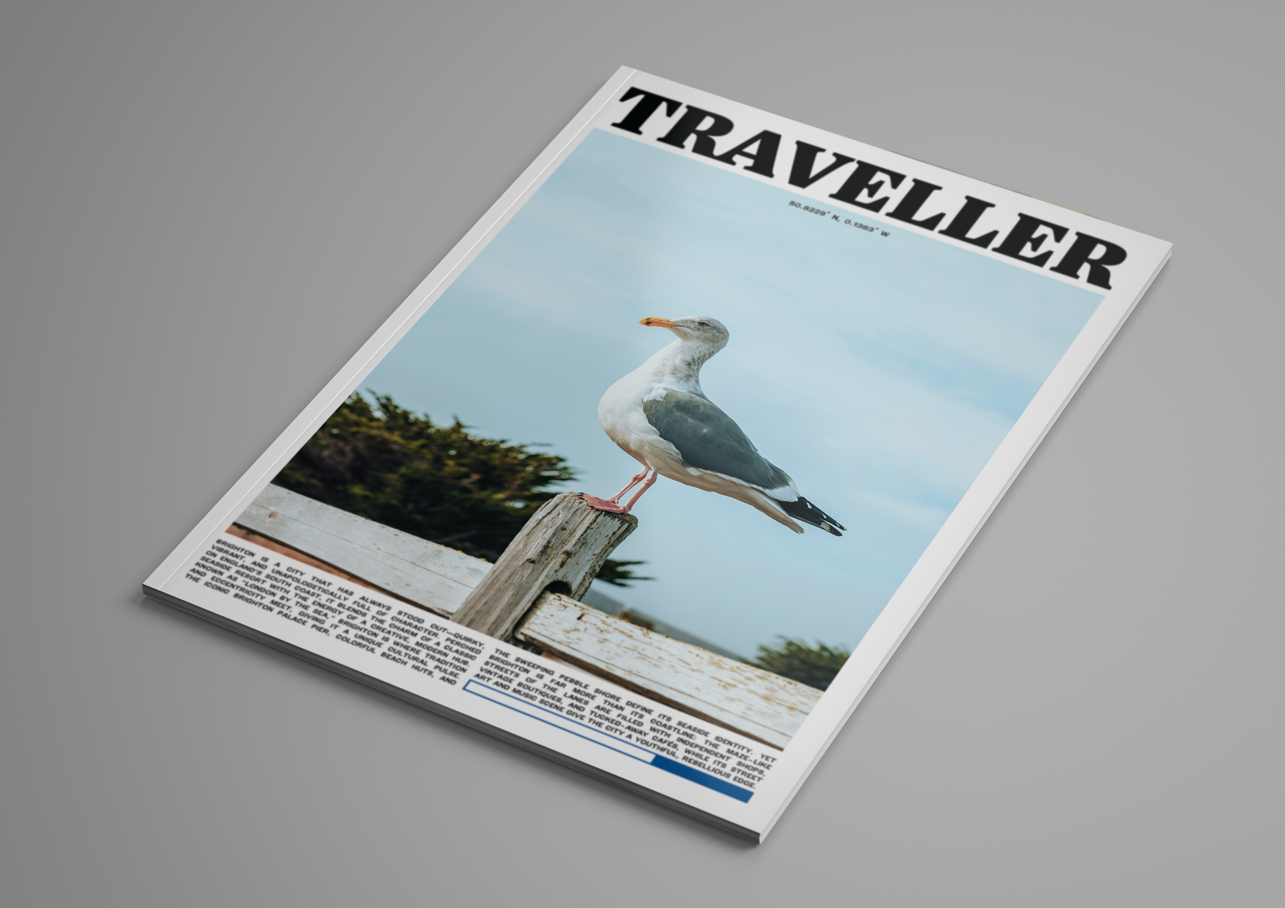Magazine titled 'Travelier' featuring a seagull perched on a weathered wooden post with trees and a cloudy sky in the background.