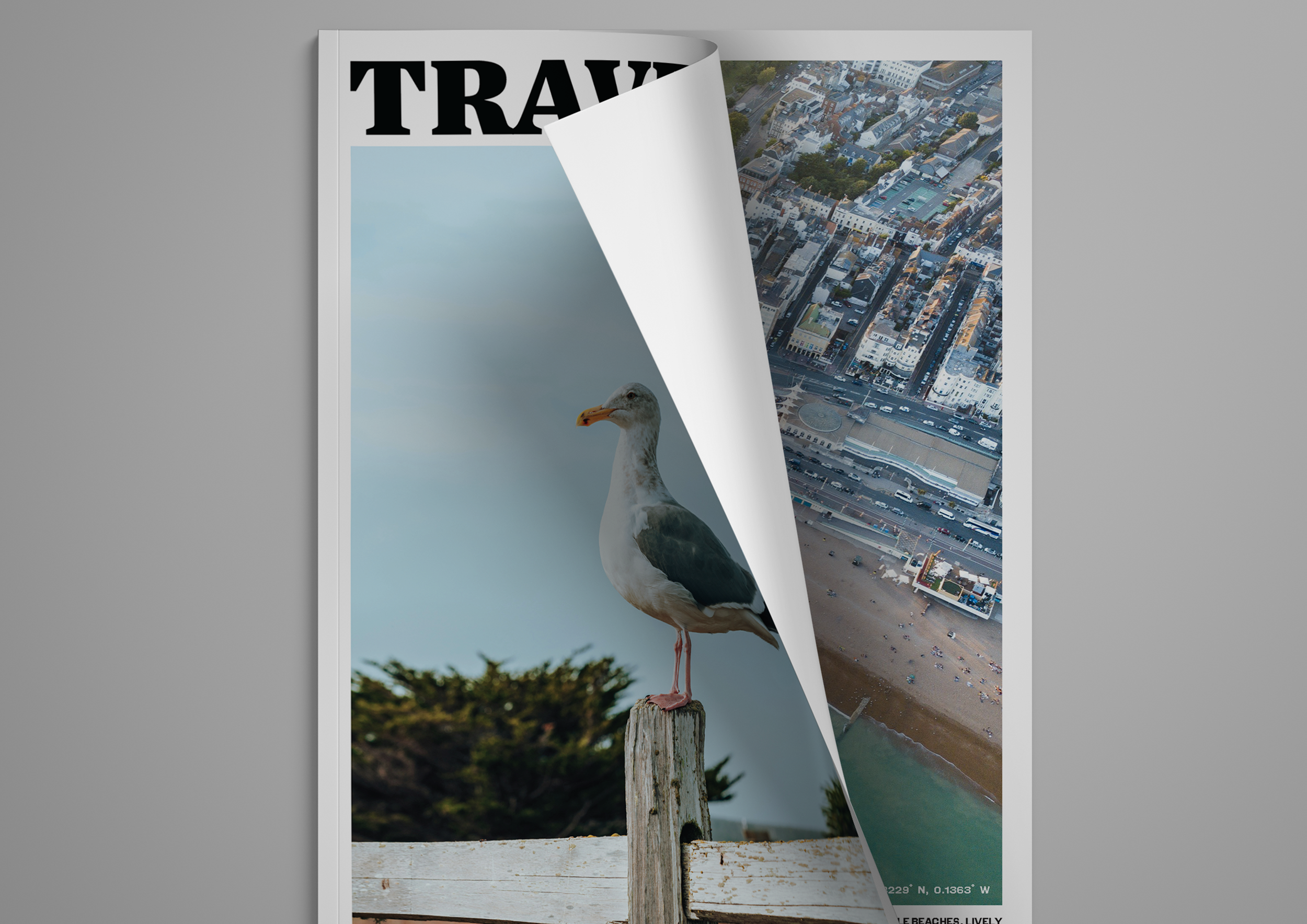 A magazine page with a bird standing on a post on a beach, and an aerial view of a city with buildings and streets.