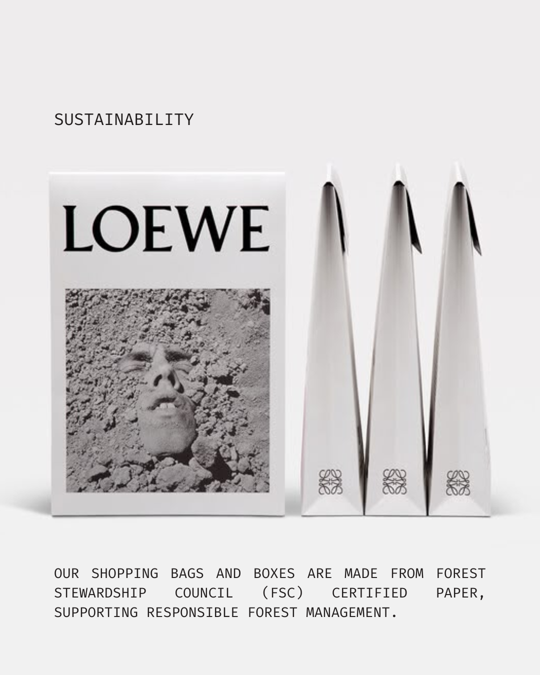 Packaging with the brand name LOEWE, images of a person's face on a dirt background, and text about sustainable, FSC-certified paper shopping bags and boxes made from responsibly managed forests.