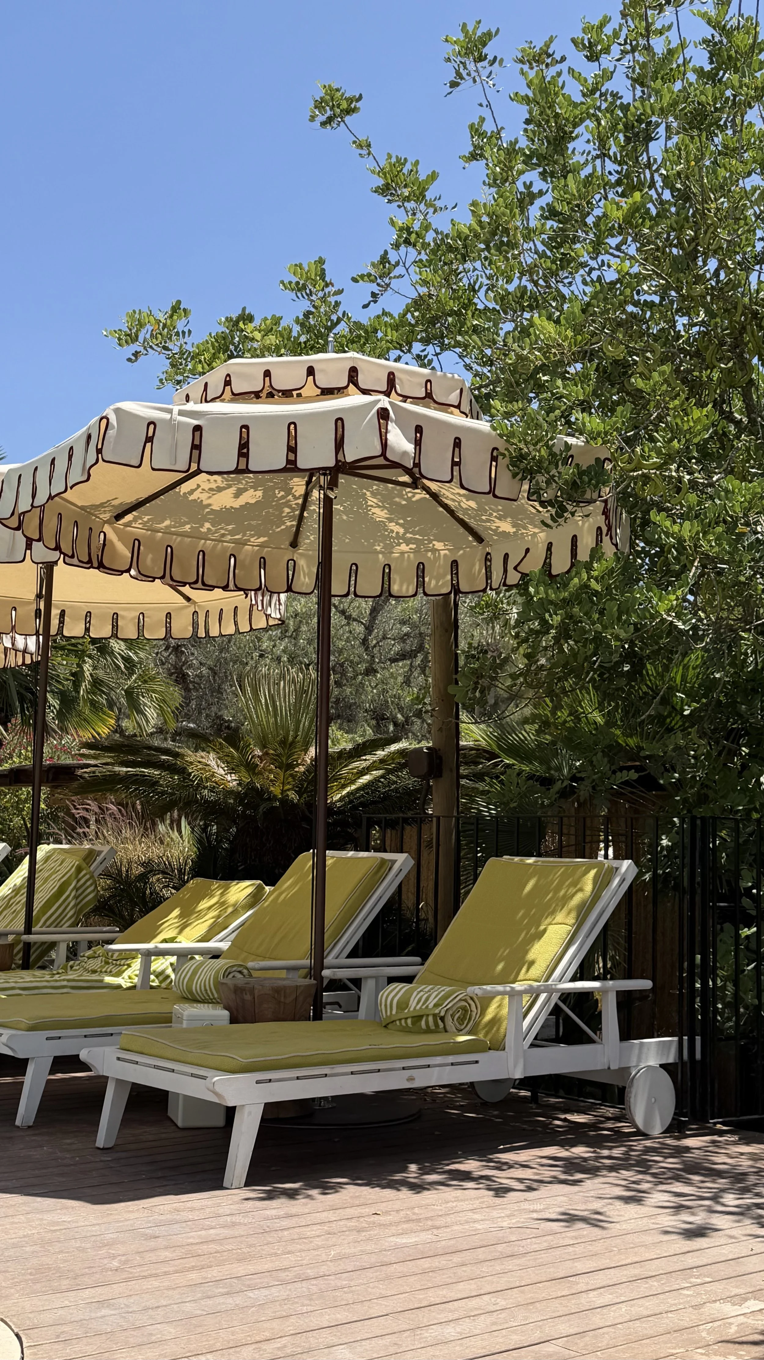 Poolside lounge chairs with yellow cushions and rolled towels, shaded by large patio umbrellas, surrounded by lush greenery and trees under a clear blue sky.