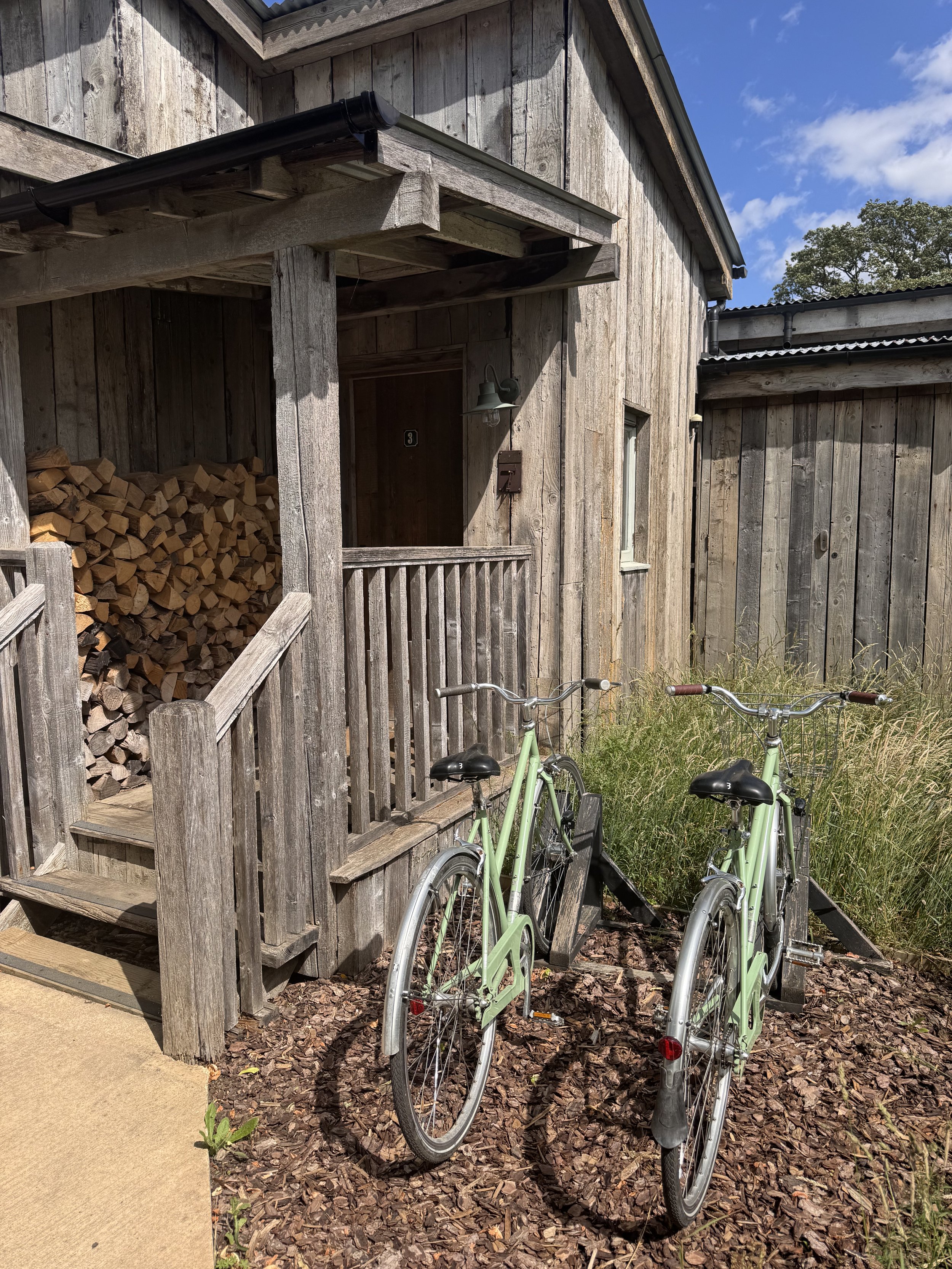 Two mint green bicycles leaning against a porch railing of a rustic wooden cabin. The cabin has a woodpile stacked in an open nook and a small window. The porch has a light fixture and a mailbox near the door. There are trees and a partly cloudy sky in the background.