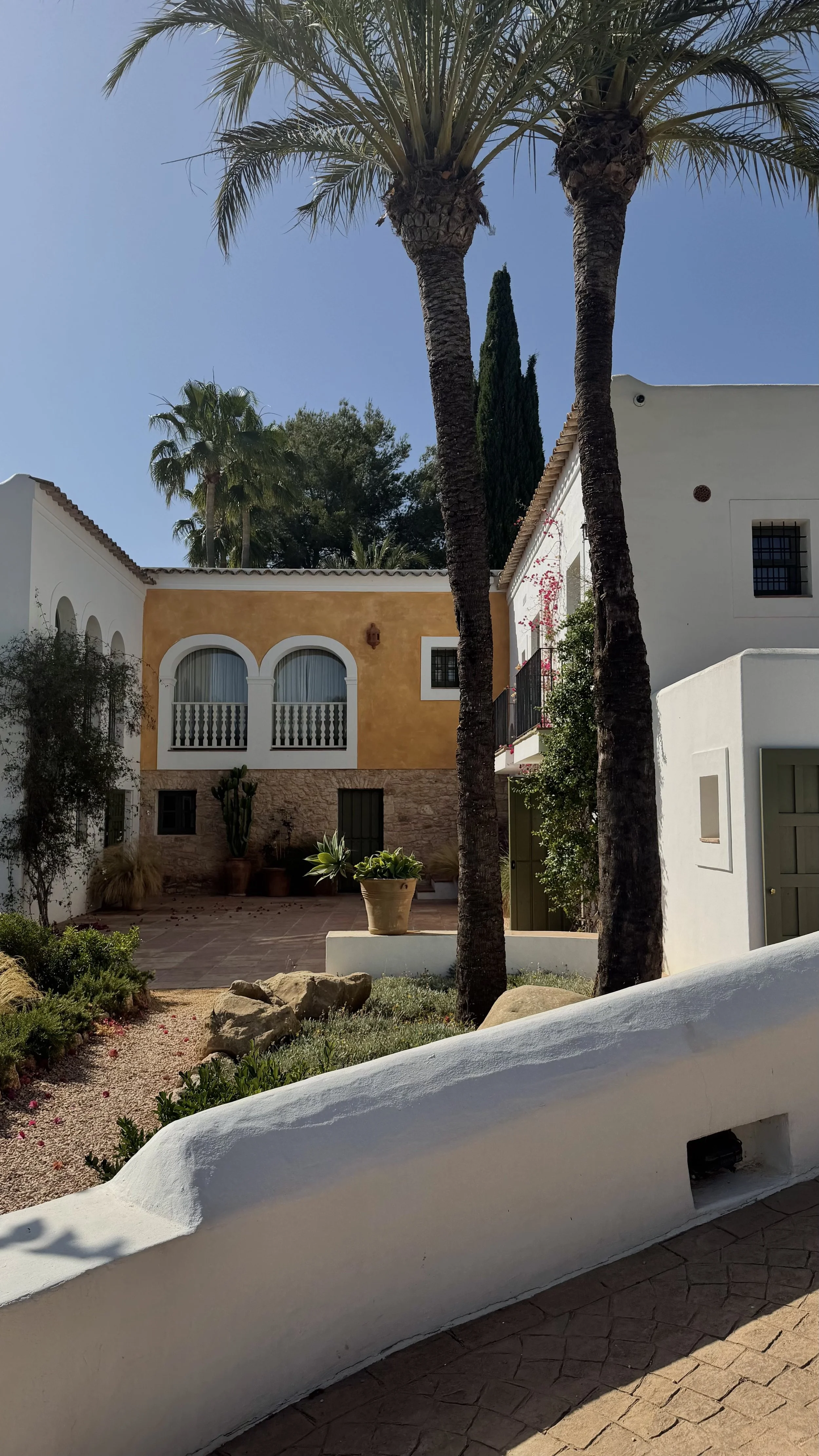 A courtyard with white and yellow buildings, potted plants, and tall palm trees under a clear blue sky.