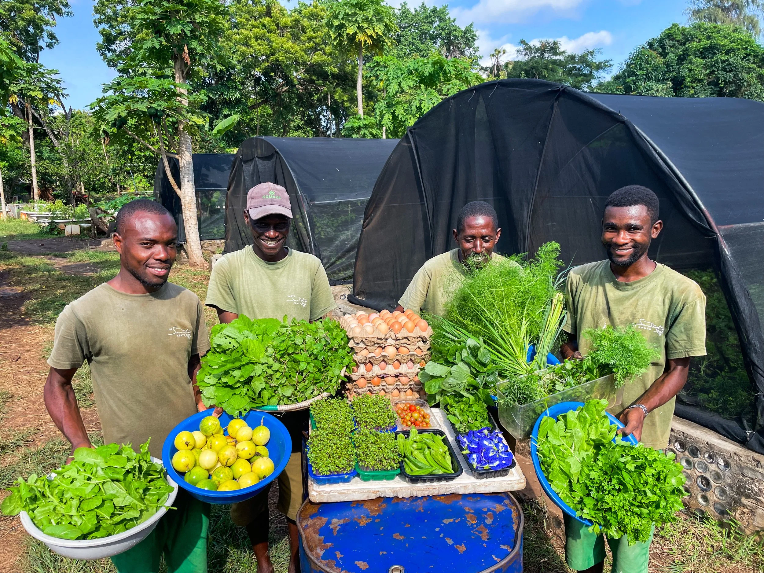 Four men stand behind a table of fresh vegetables and eggs, smiling outdoors in a lush, green garden with trees and greenhouses in the background.