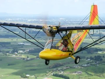 Bantam flying.jpg