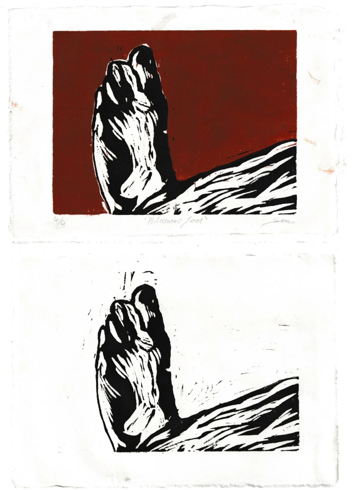  Philoctetes' Foot , woodcut, (15 x 11 cm each*), 2025, edition of 10