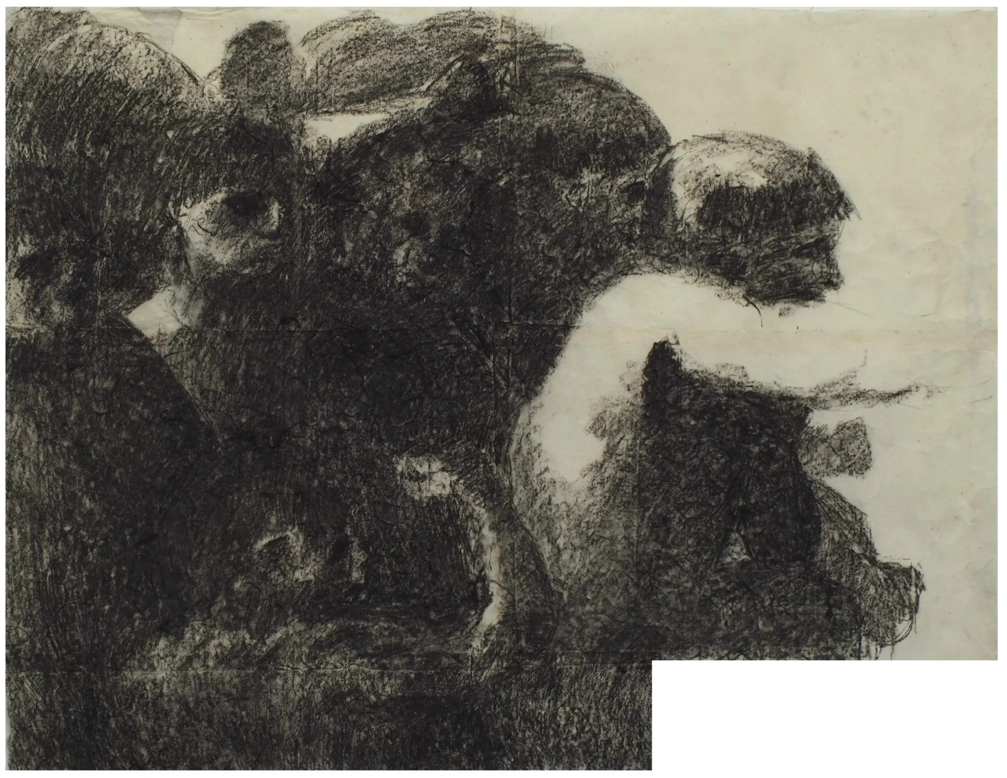  Evidence of a Disaster , charcoal on paper, (150 x 115 cm), 2025
