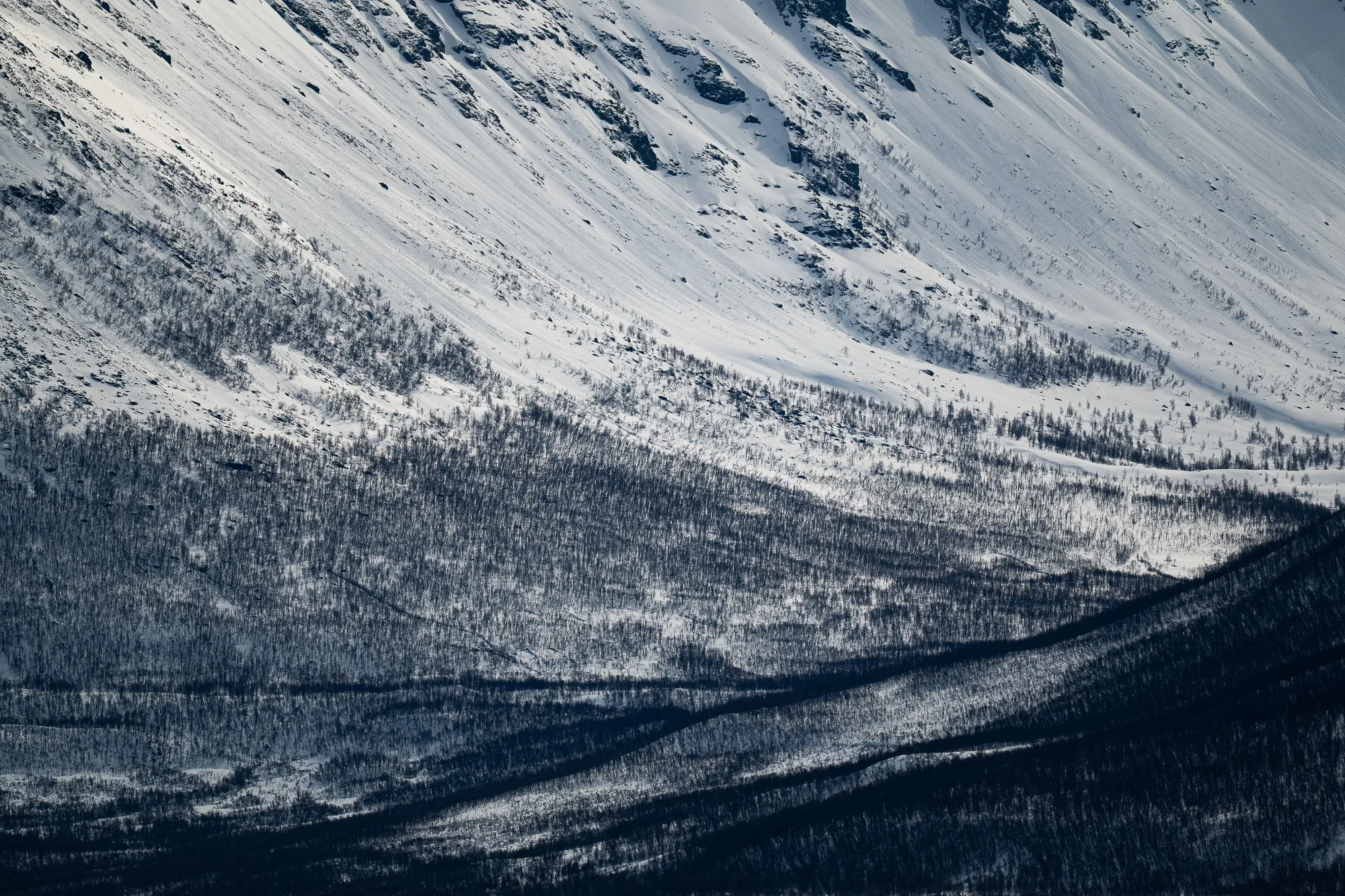 Montagne enneigée avec une pente escarpée et une forêt dense en bas.