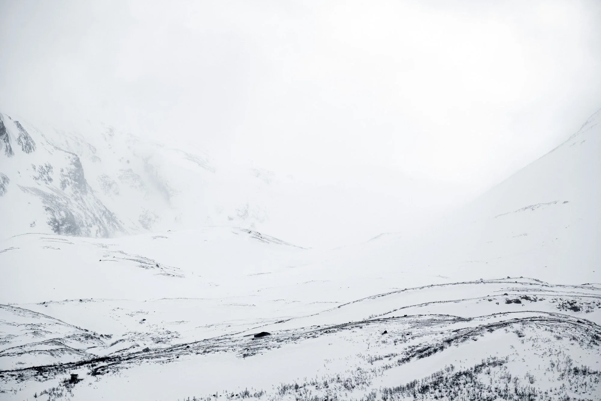Paysage glacé de montagnes enneigées visibles à travers une brume ou un brouillard dense, avec une surface gelée au premier plan et des petites plantes sèches.