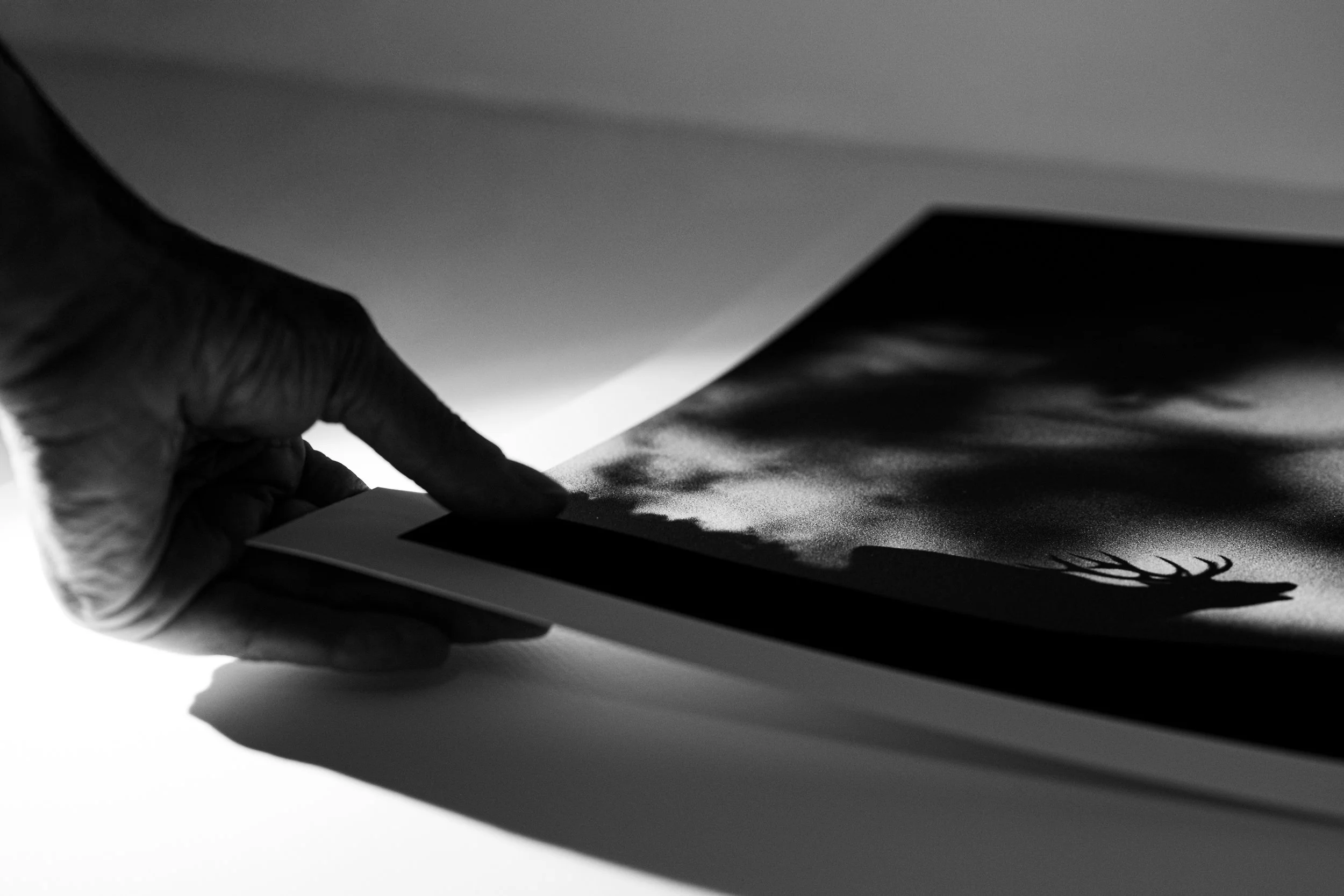 Une main tenant une photographie noir et blanc, avec des ombres projetées sur la surface.