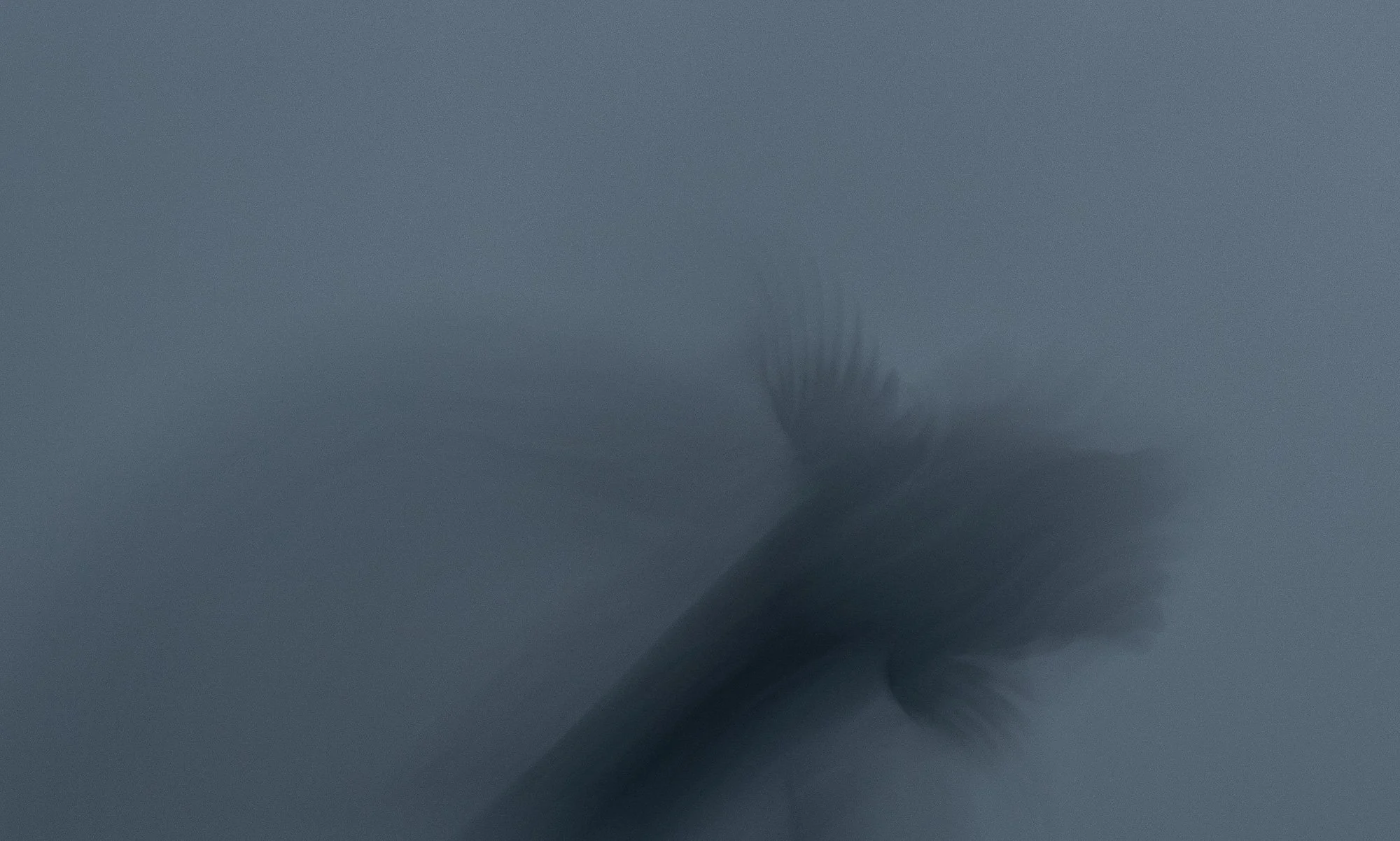 Une scène brumeuse avec quelques arbres visibles au loin, une atmosphère mystérieuse et silencieuse.