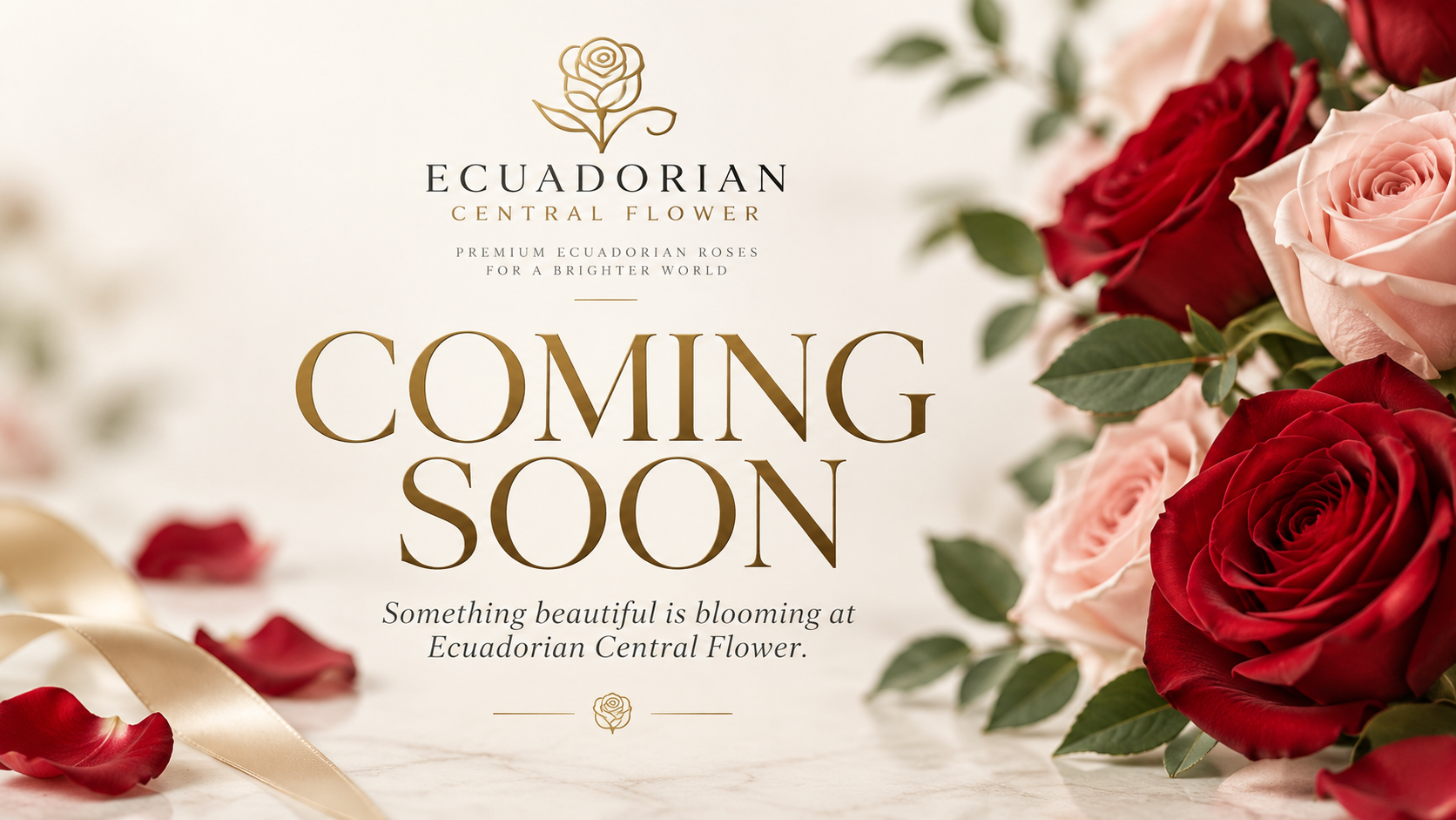 Coming Soon