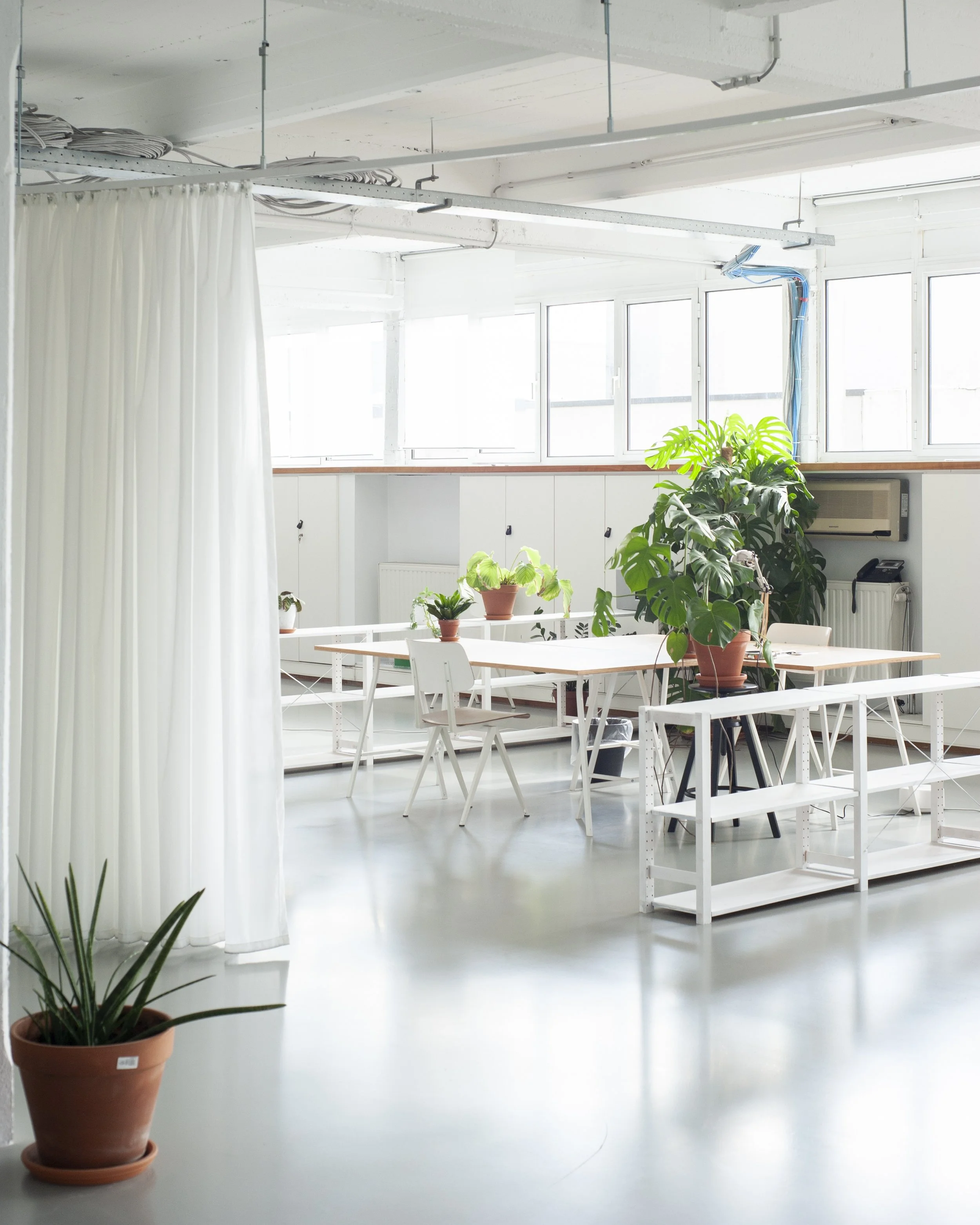 Licht interieur met grote planten in potten, witte tafels en stoelen, grote ramen die daglicht binnenlaten, een witte scheidingswand met gordijnen, en airconditioning unit.