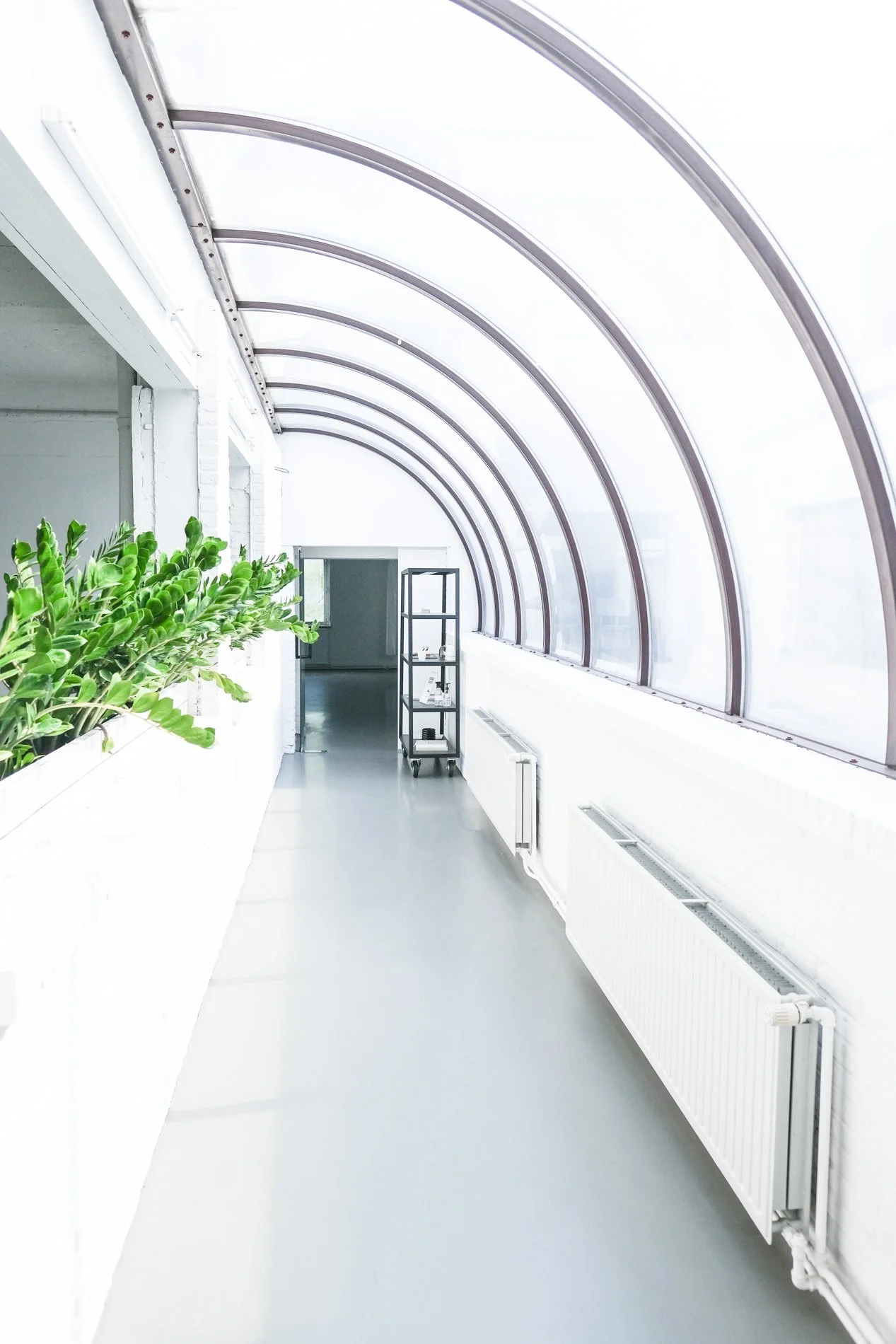 Lichte, witte indoor ruimte met grote gebogen ramen, groene plant aan de linkerkant, zwart metalen kast op wieltjes en radiatoren langs de rechterkant.