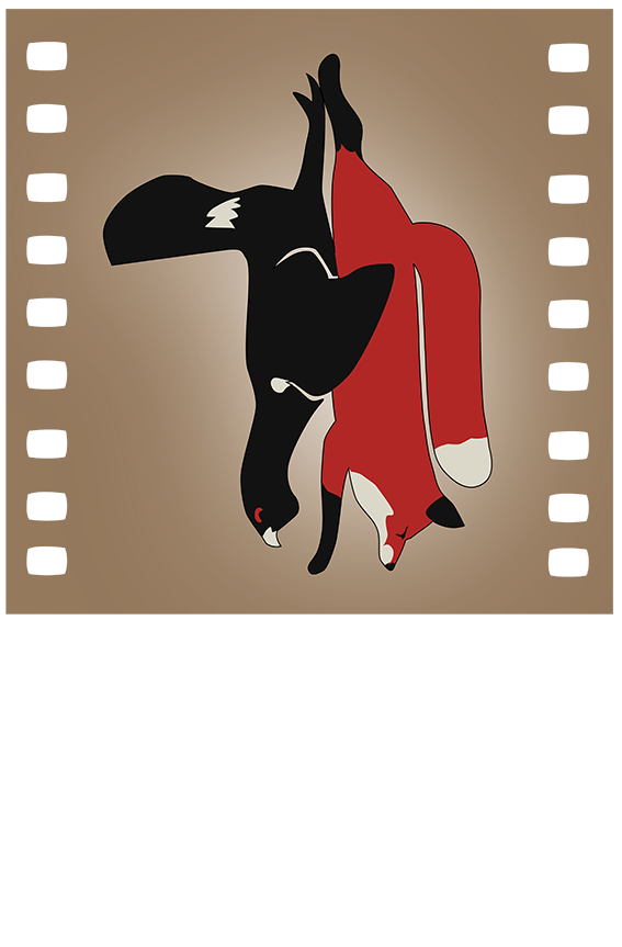 Lindroth &amp; Norin