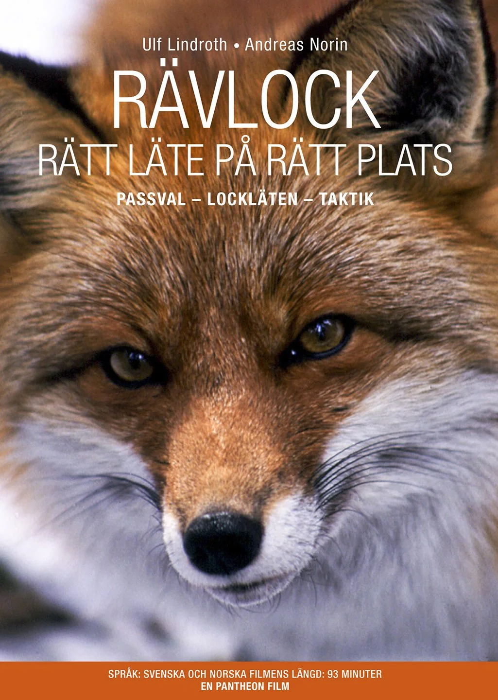 Rävlock, rätt läte på rätt plats