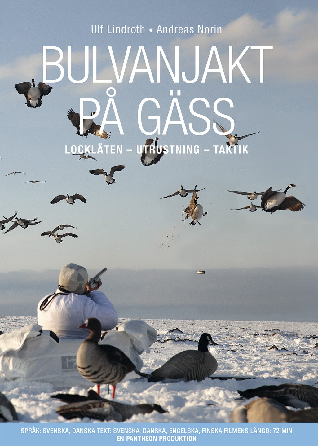 Bulvanjakt på gäss