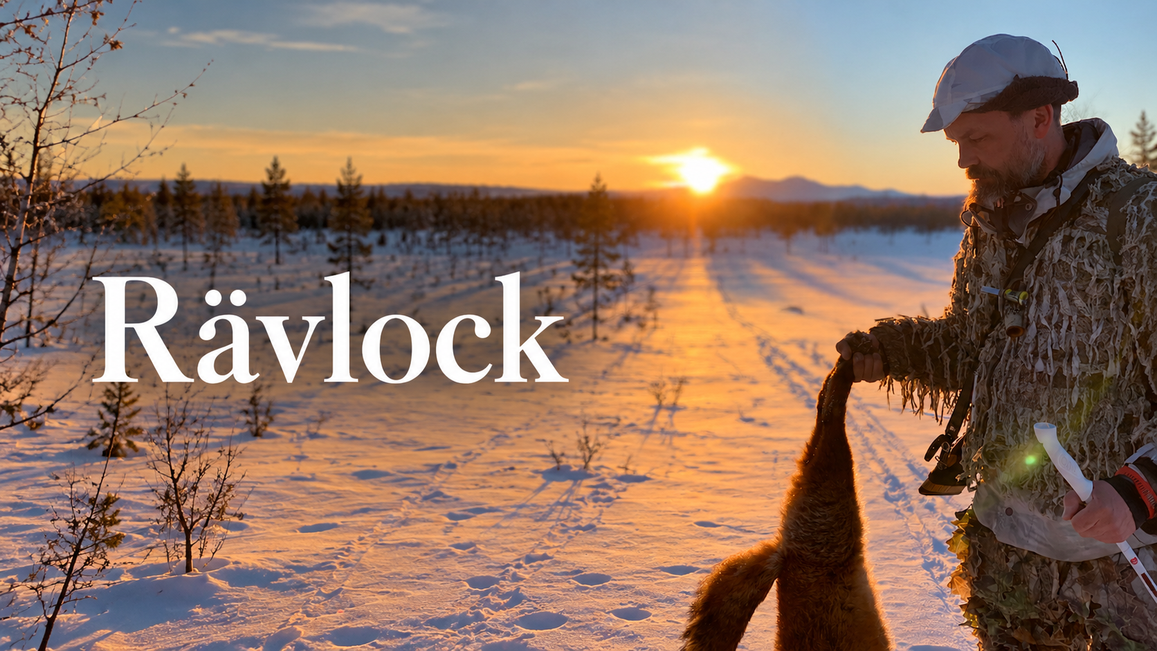 Rävjägare med skjuten räv i snötäckt landskap vid solnedgång under rävlocksjakt.