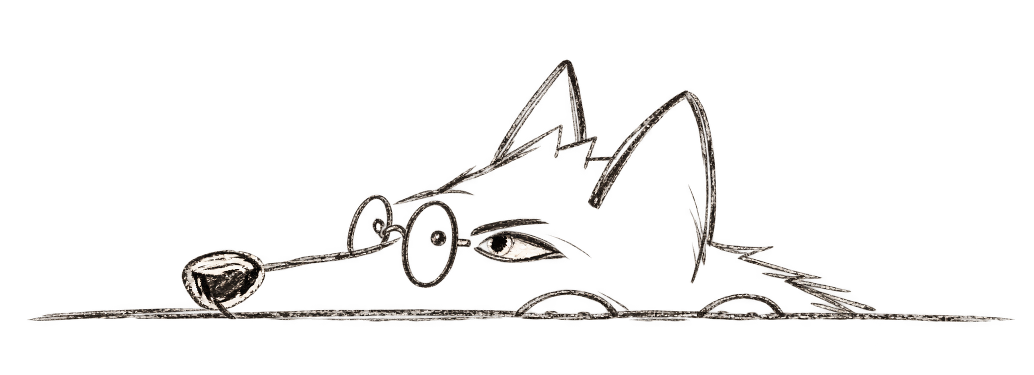 Minimal line drawing of Colo, a wolf, lying down with her head resting on the ground.