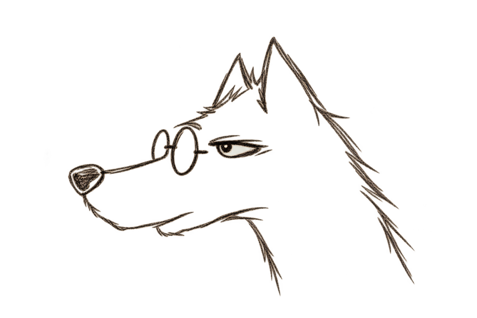 Minimal line drawing of Colo, a wolf wearing round glasses, shown in profile.