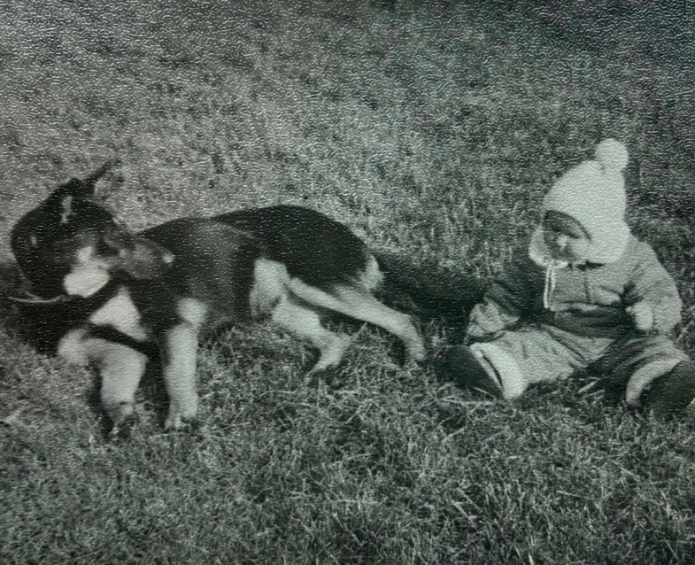 A young child sitting in the grass beside a dog.
