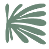 Une grande feuille verte avec plusieurs segments