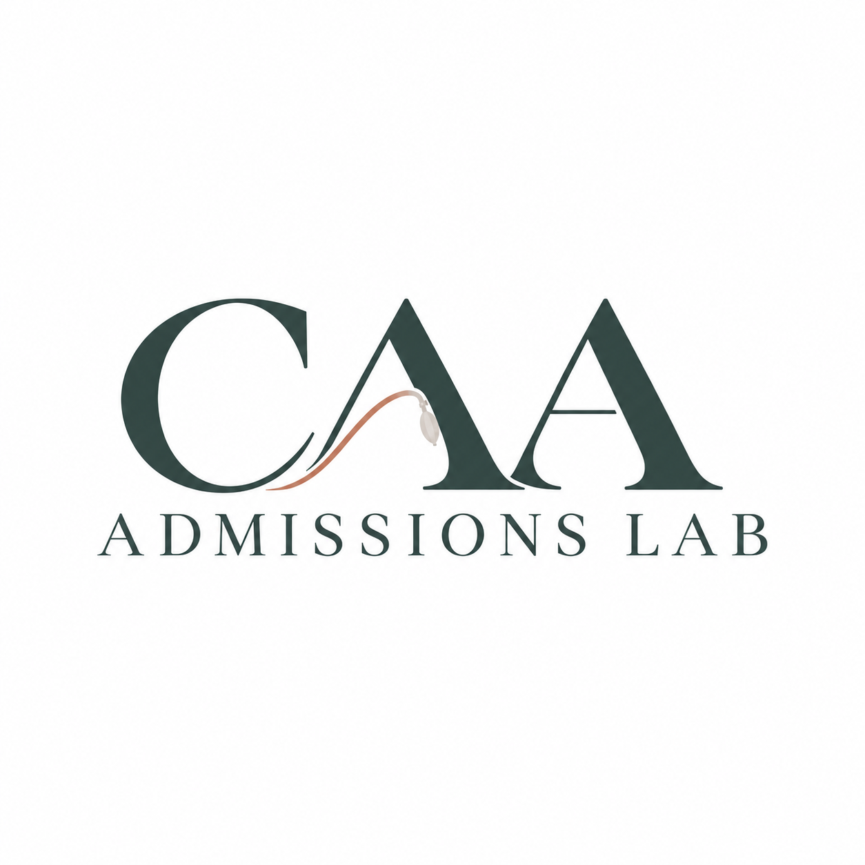 CAA Admissions Lab
