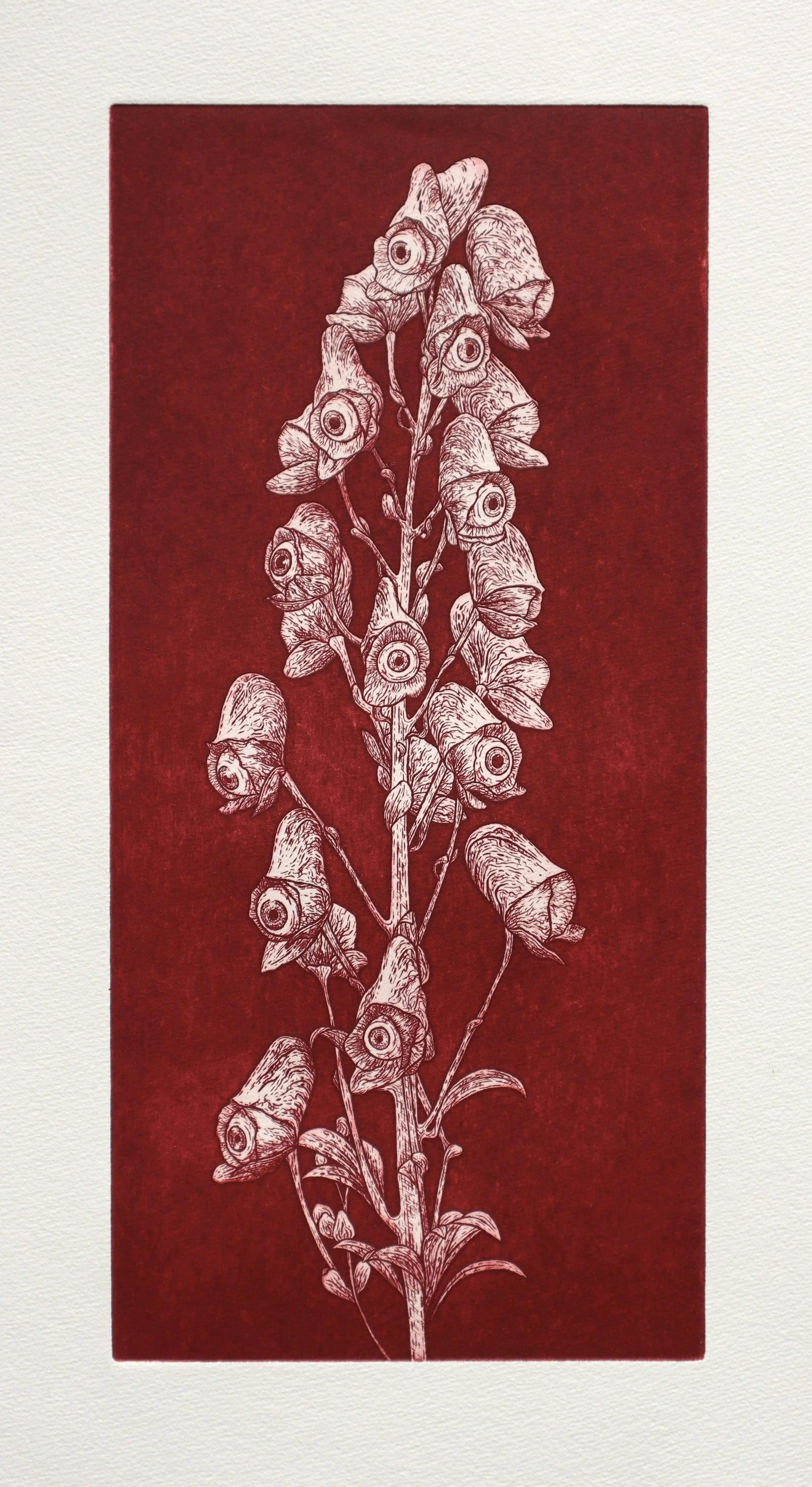 Green Gaze II | 20 cm × 36 cm | 2024
