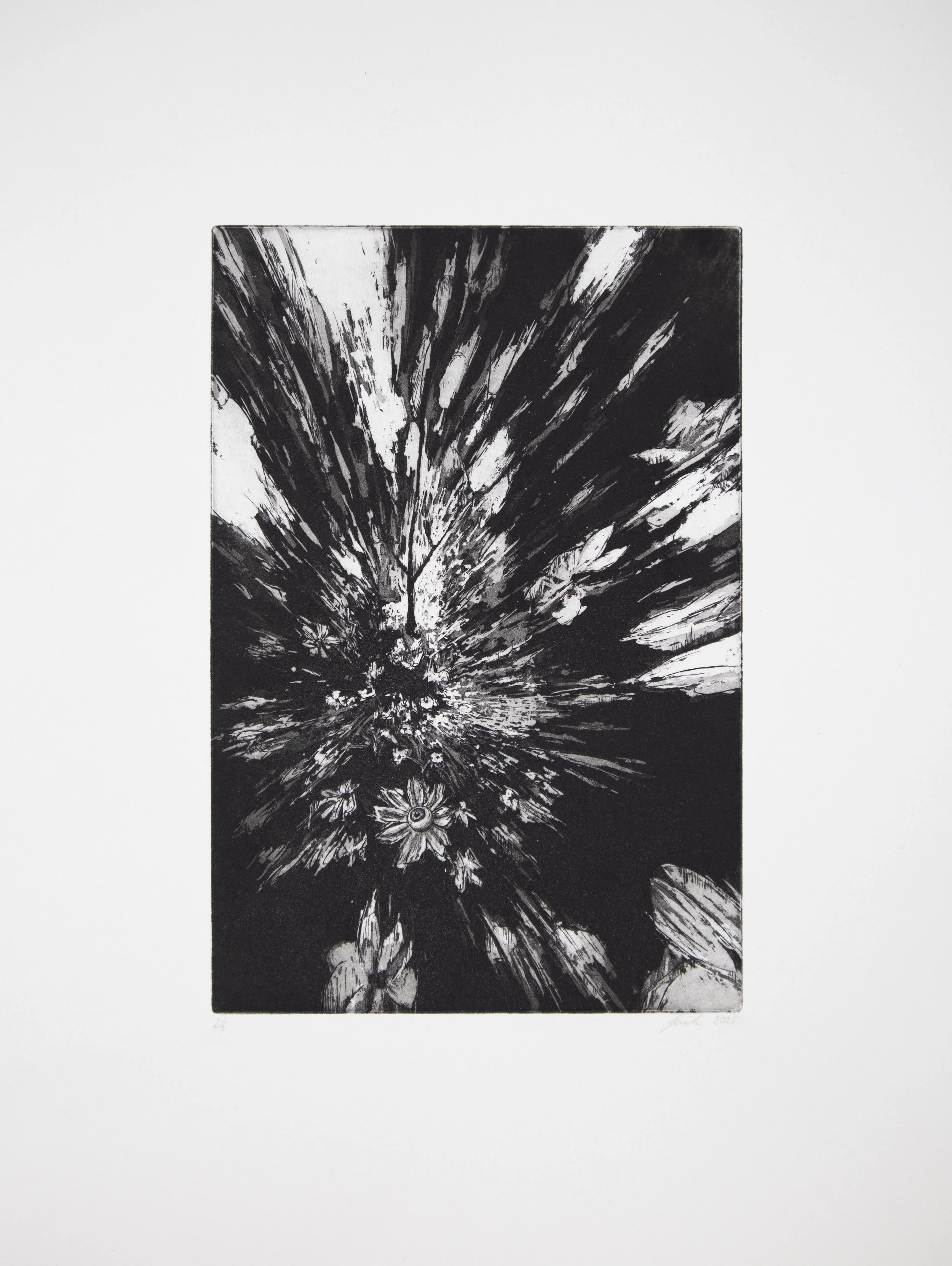 Blossom_neu.jpg