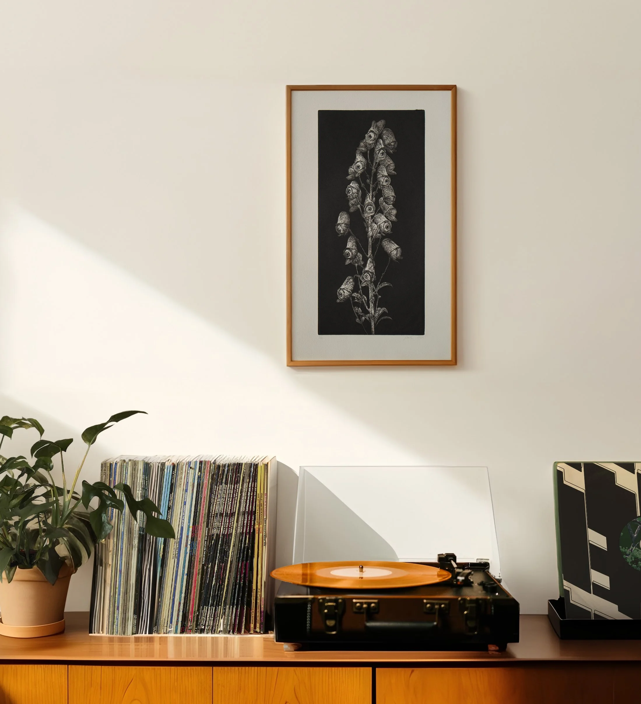 3-DIN-A-posters-record-player-plant-0038.jpg