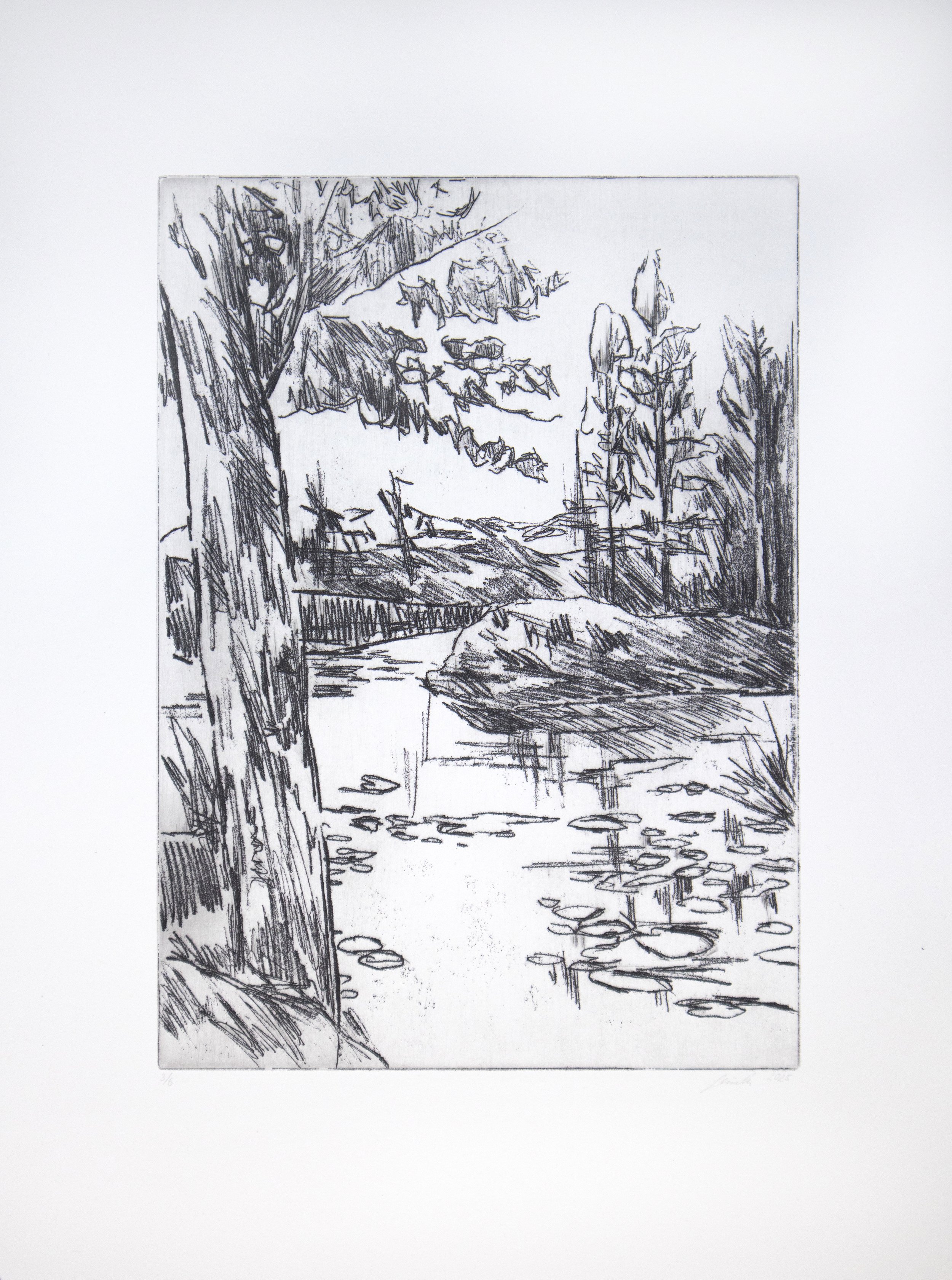 Teich am Waldrand | 30 cm × 40 cm | 2025