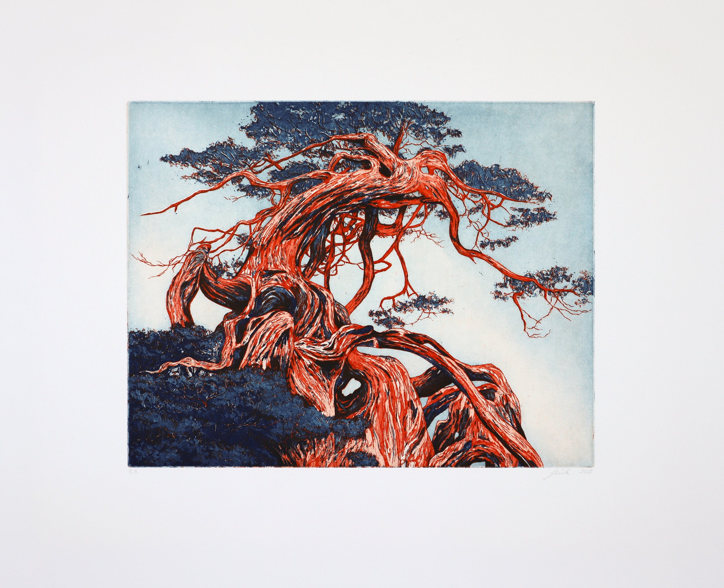 Guardian | 50 cm × 40 cm | 2025