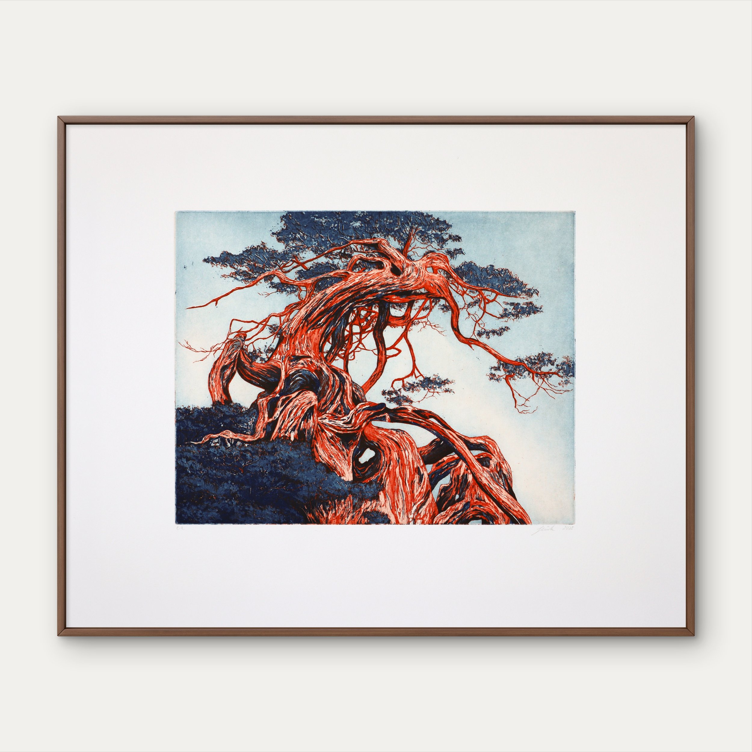 Guardian - Limited edition