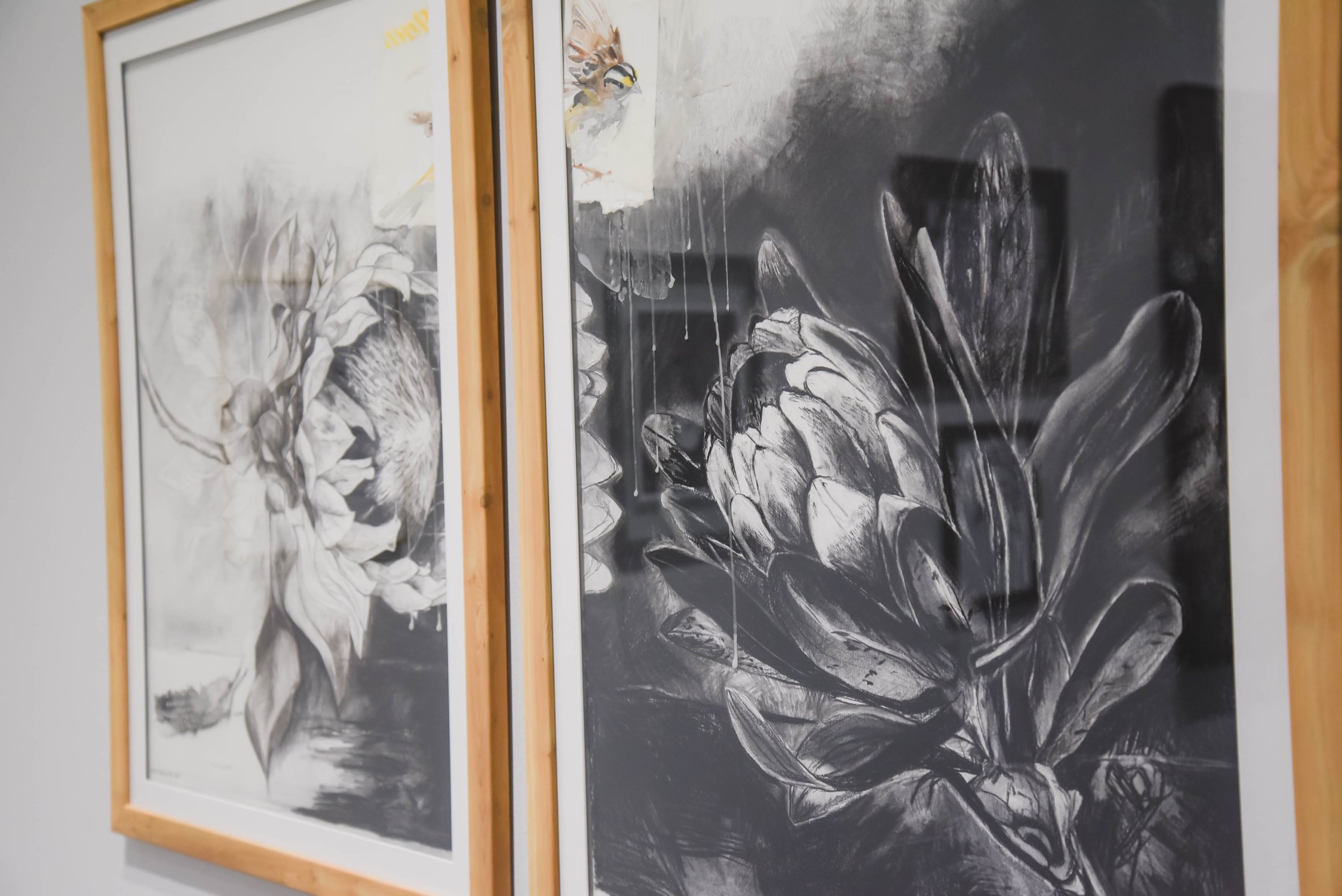 Black-and-white floral charcoal artwork on display in a wooden frame.